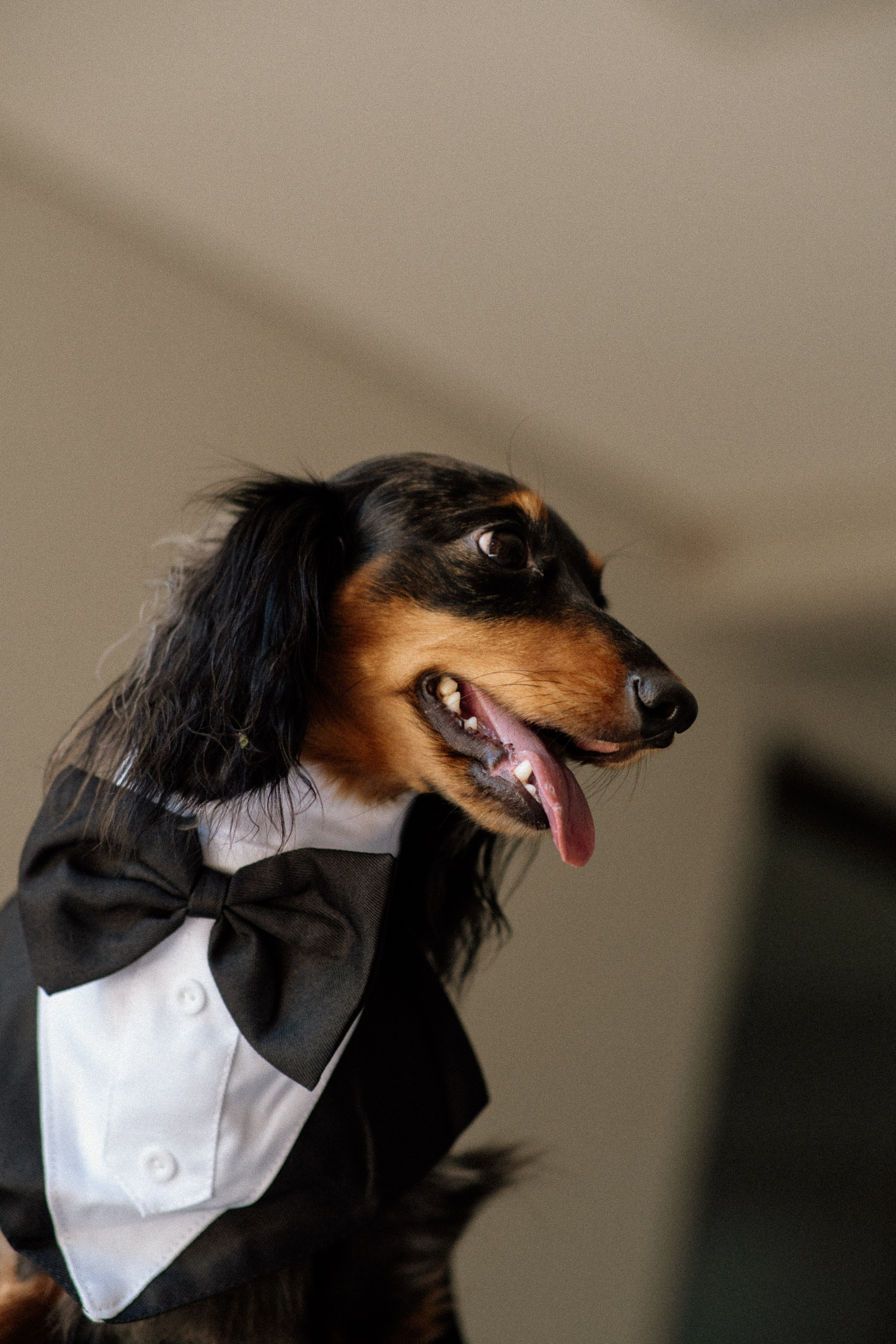Amanda & Gustavo | Casamento. Congiu Wedding