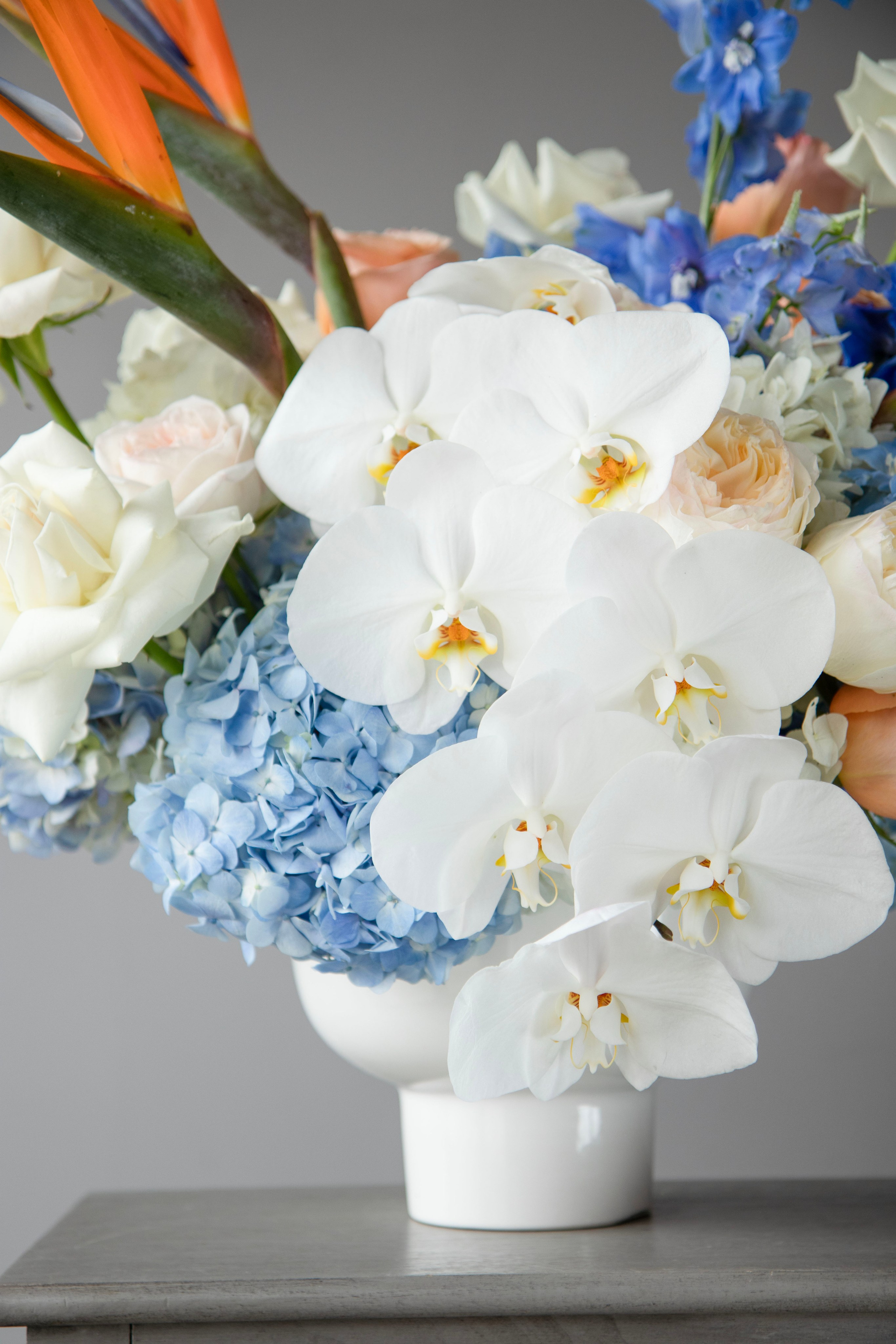 043. Palagina Ksusha, photographer in NY