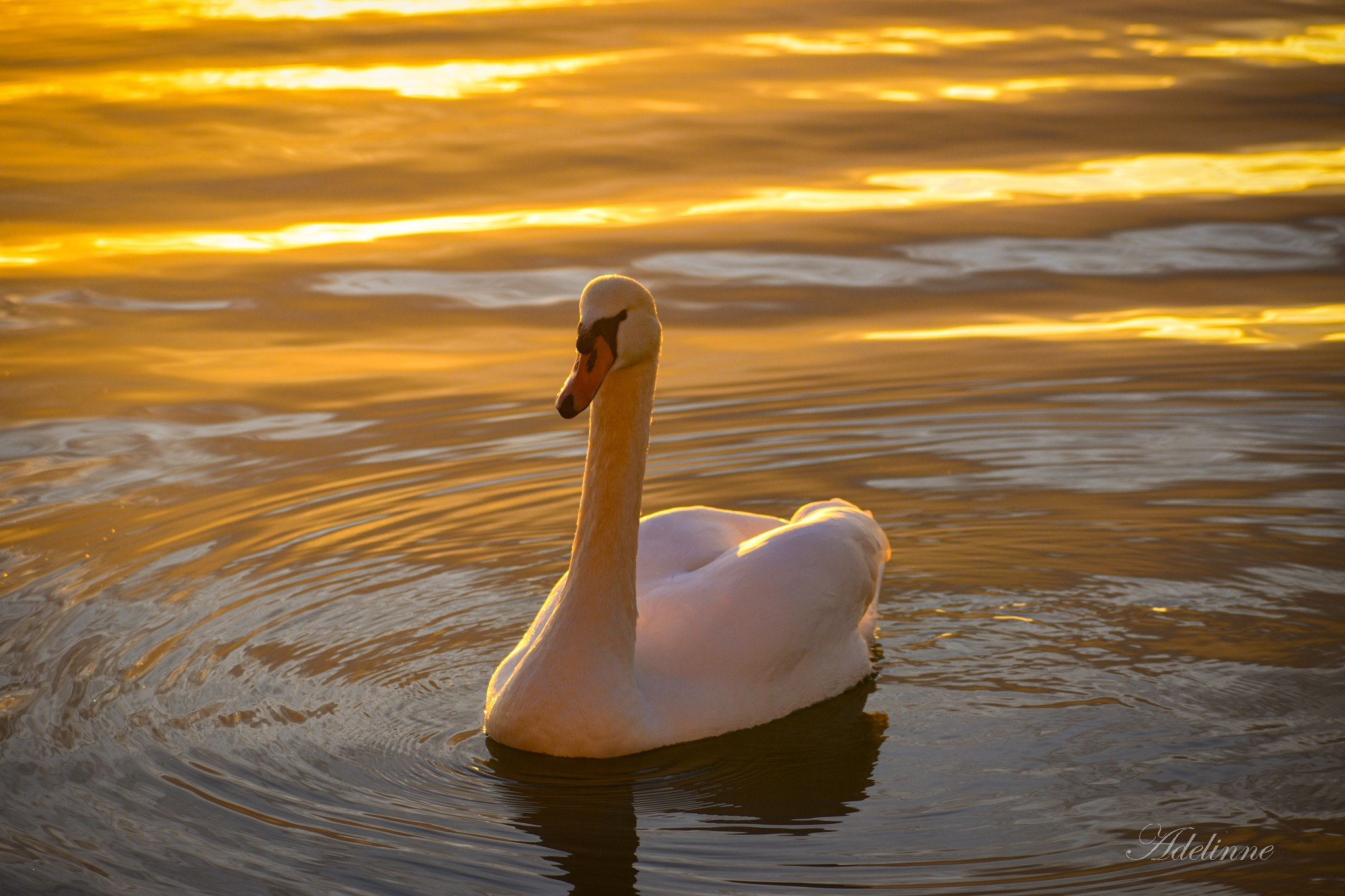 Nature❤️. Adelinne