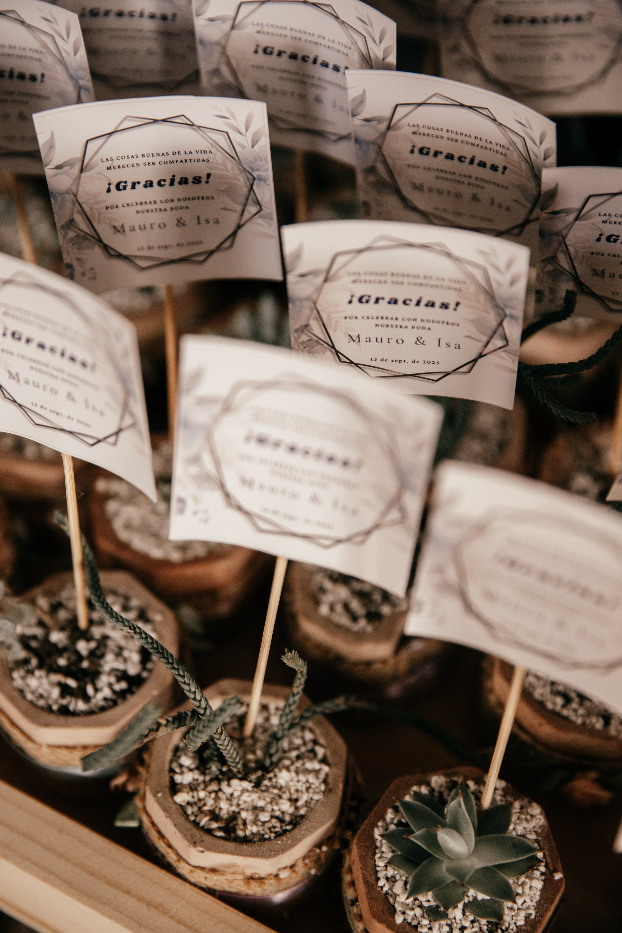 Isamar y Mauro. Dinka & Emilio - El arte de preservar lo que no se repite