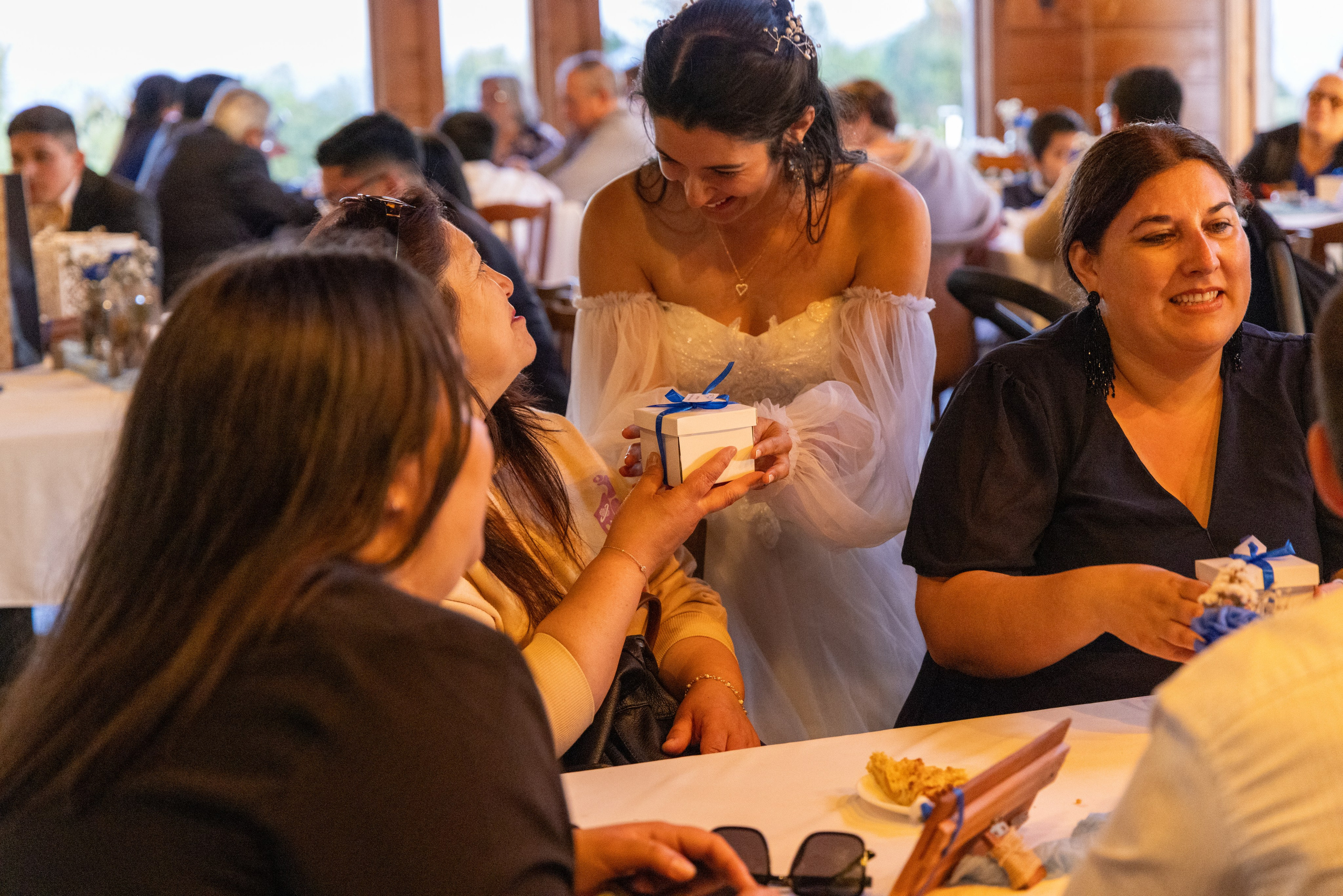 Carol & Ivo. Dinka & Emilio - El arte de preservar lo que no se repite