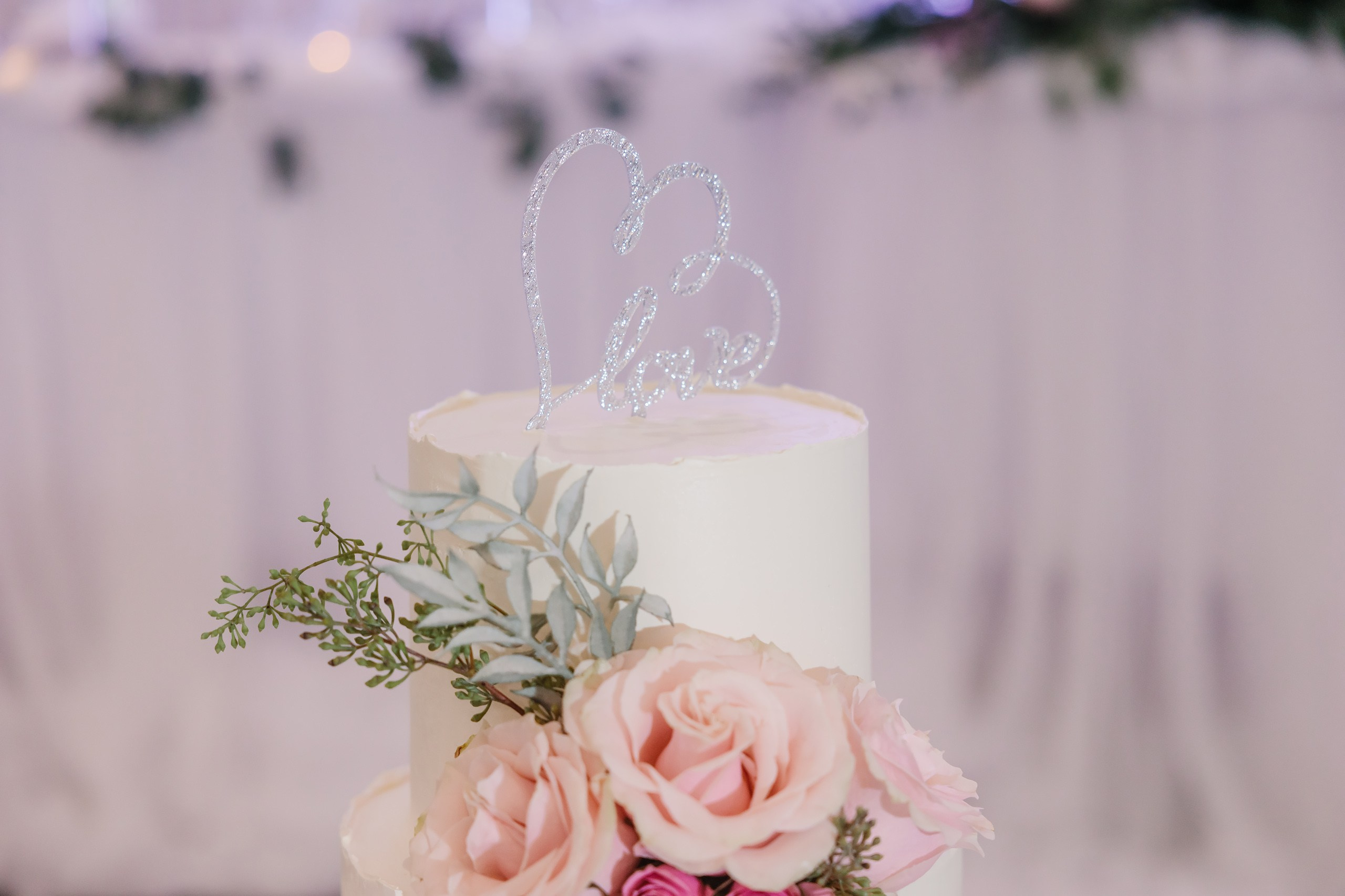 31.08.2024 Wedding. Wedding family event photographer in Chicago Nick Yushevich