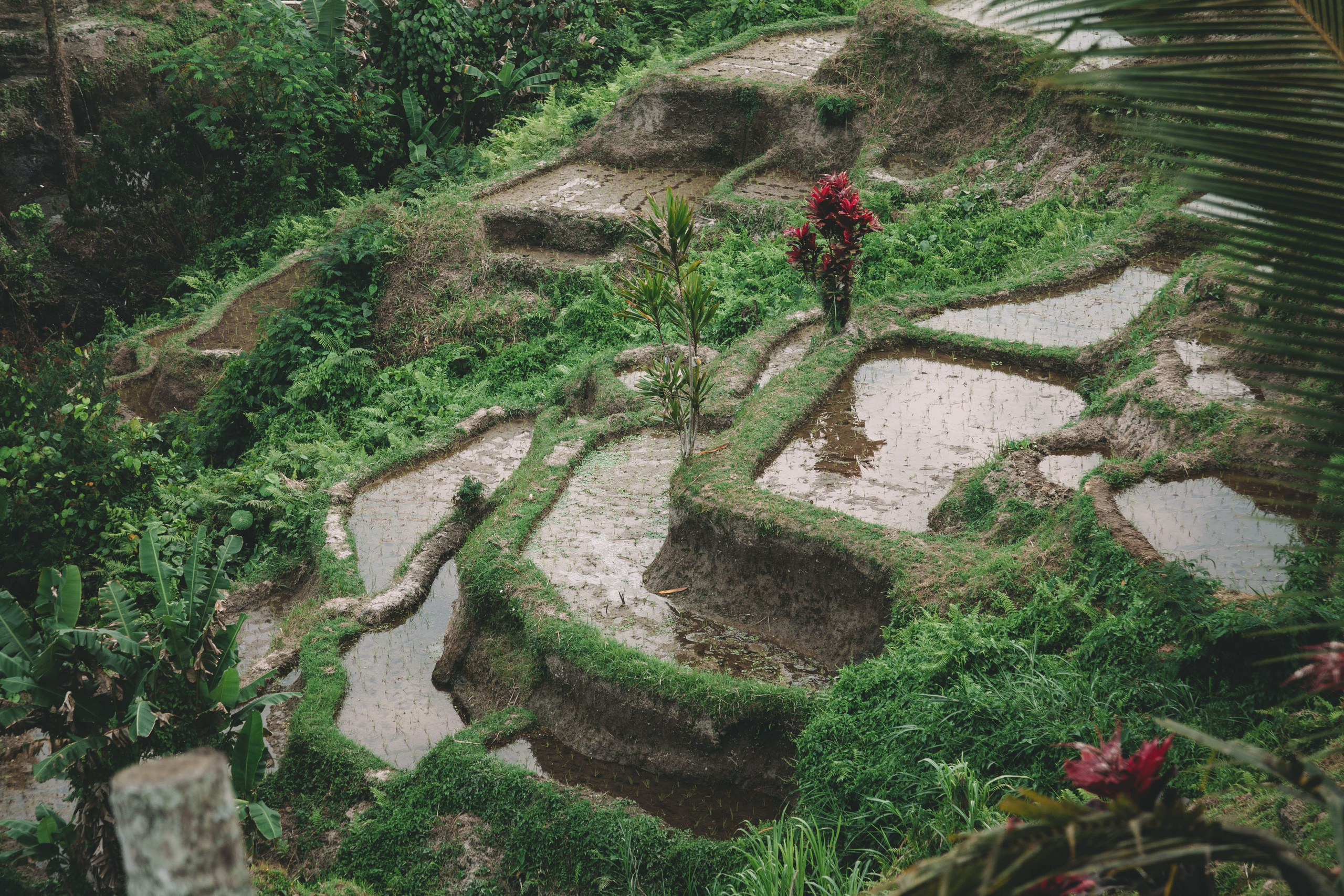 Landscapes. Wedding photographer Lyubov Sun Reutlingen