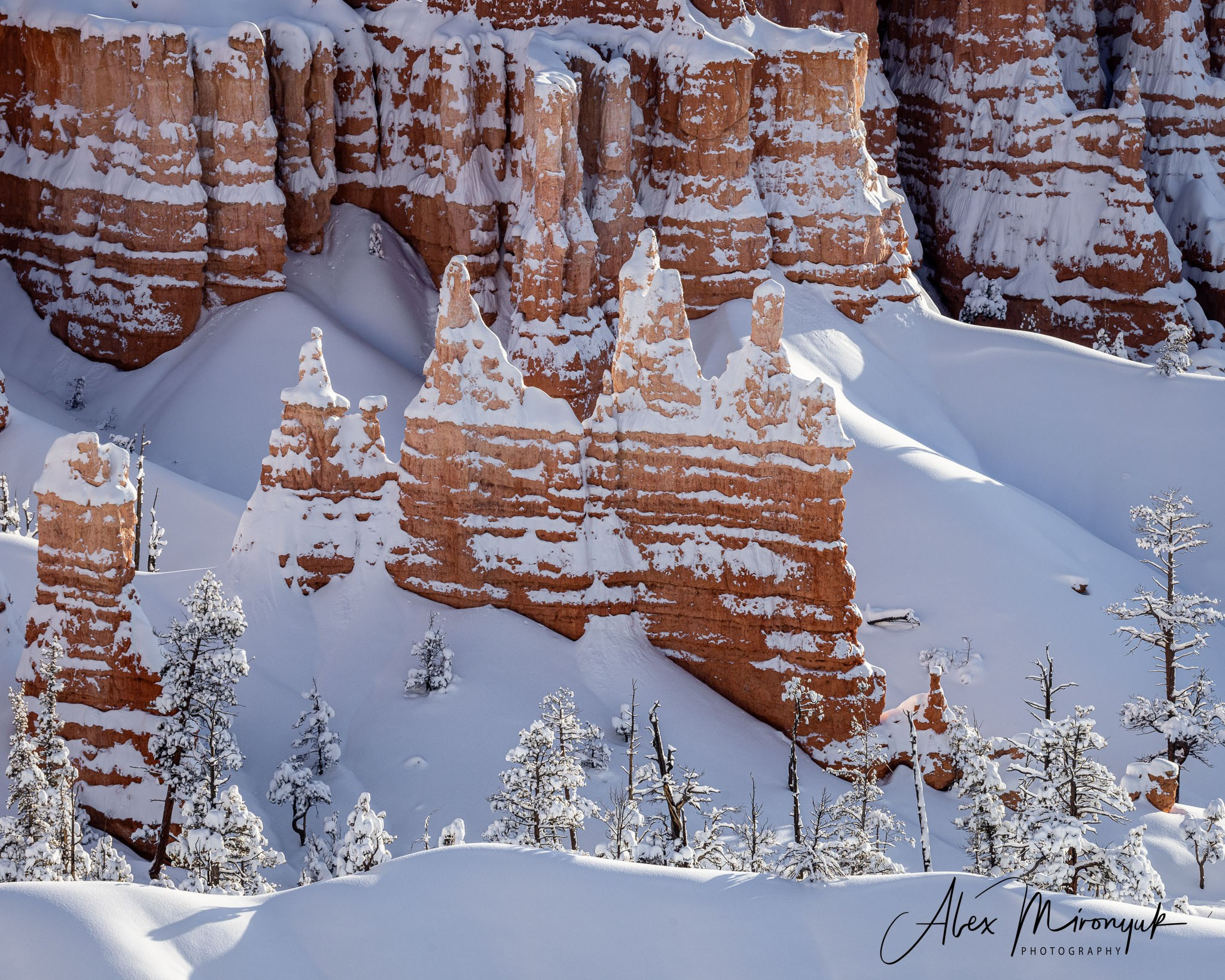 New Year In Utah. Pet, Senior, Landscape, portrait studio, photographer in Miami and Sou