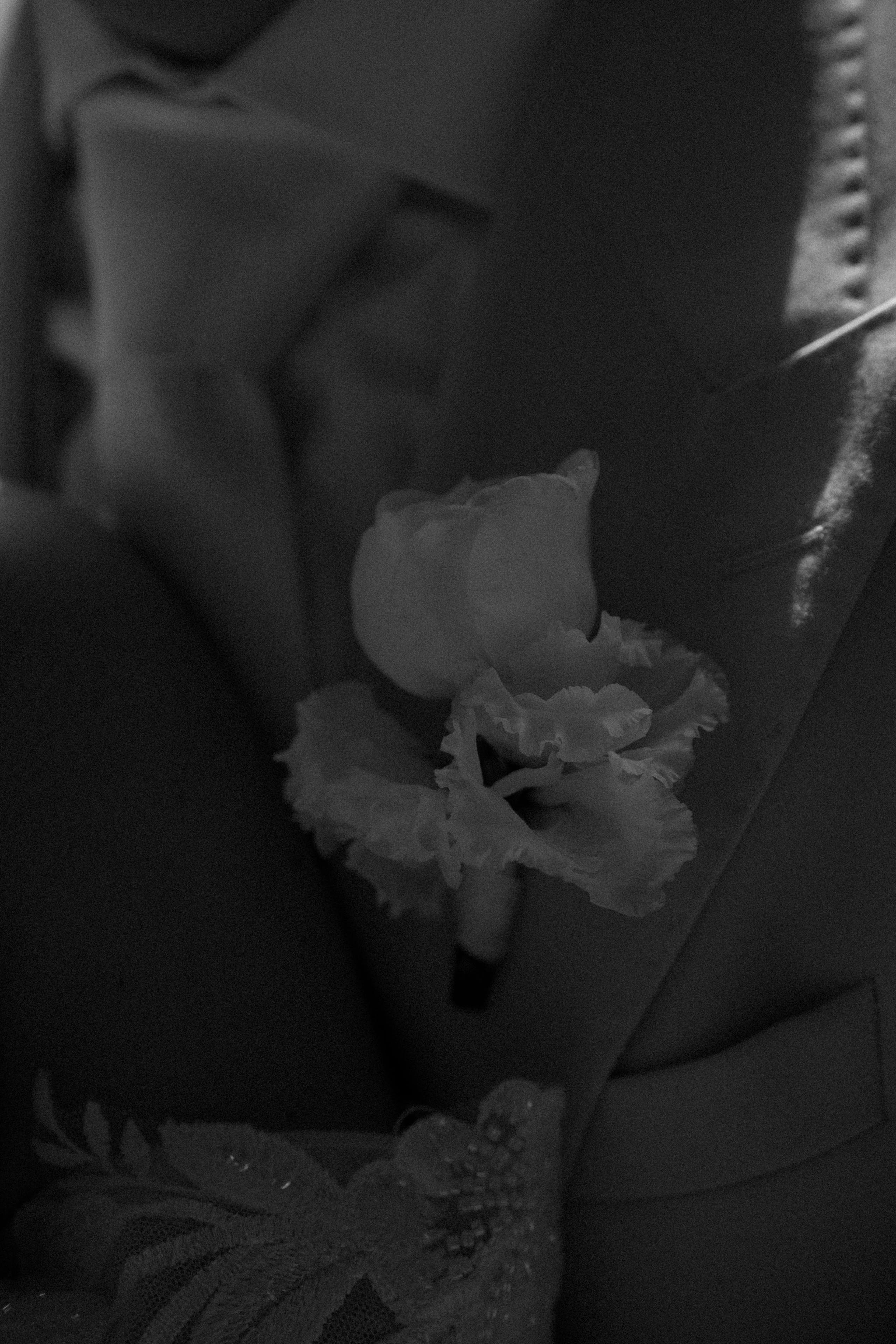 Ewelina & Thomas. Home