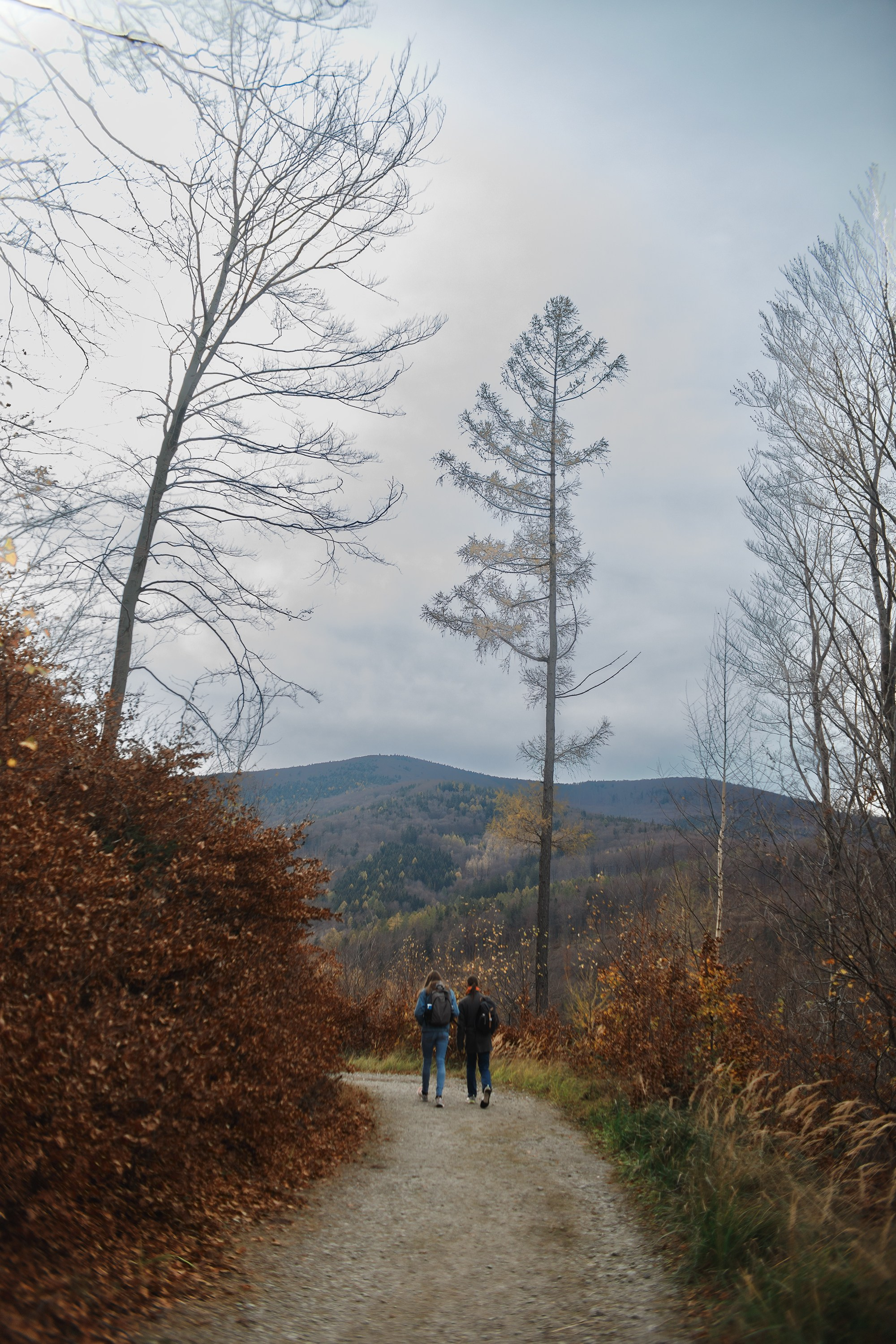 Sowie góry. Kaja | fotograf we Wrocławiu | ludzie i psy