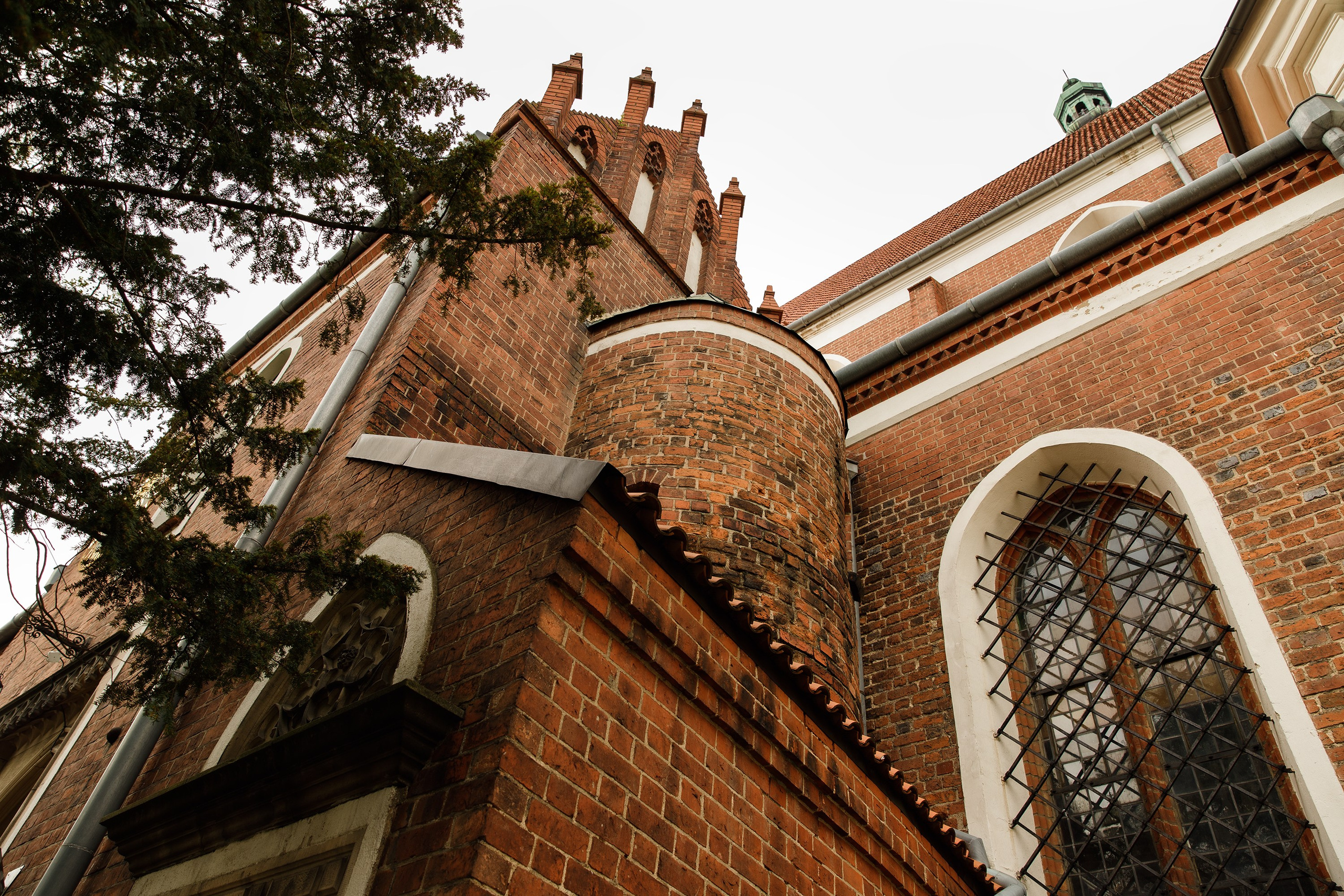Oleśnica castle. Kaja | fotograf psów we Wrocławiu