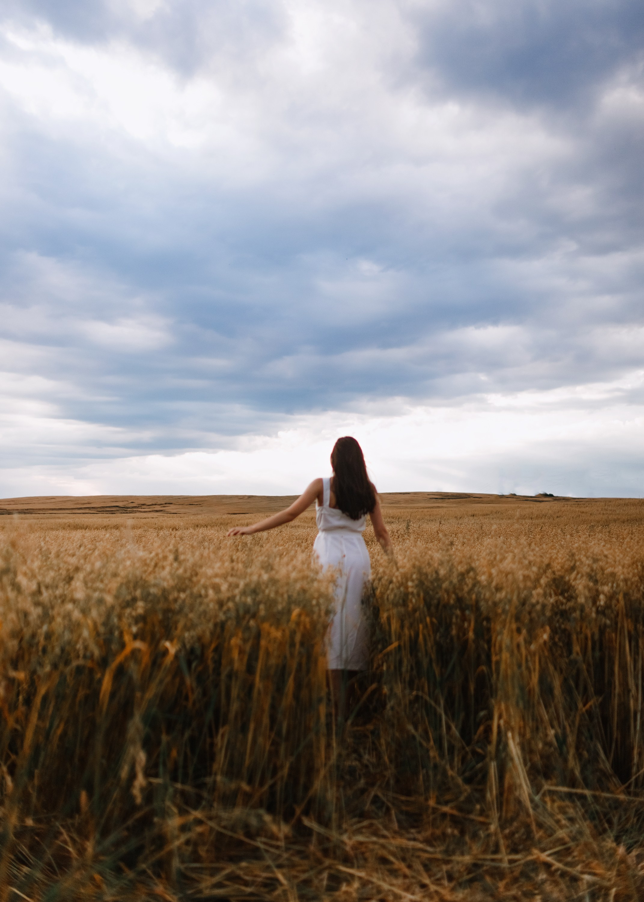 Katya | tenderness in the field. Kaja | fotograf psów we Wrocławiu