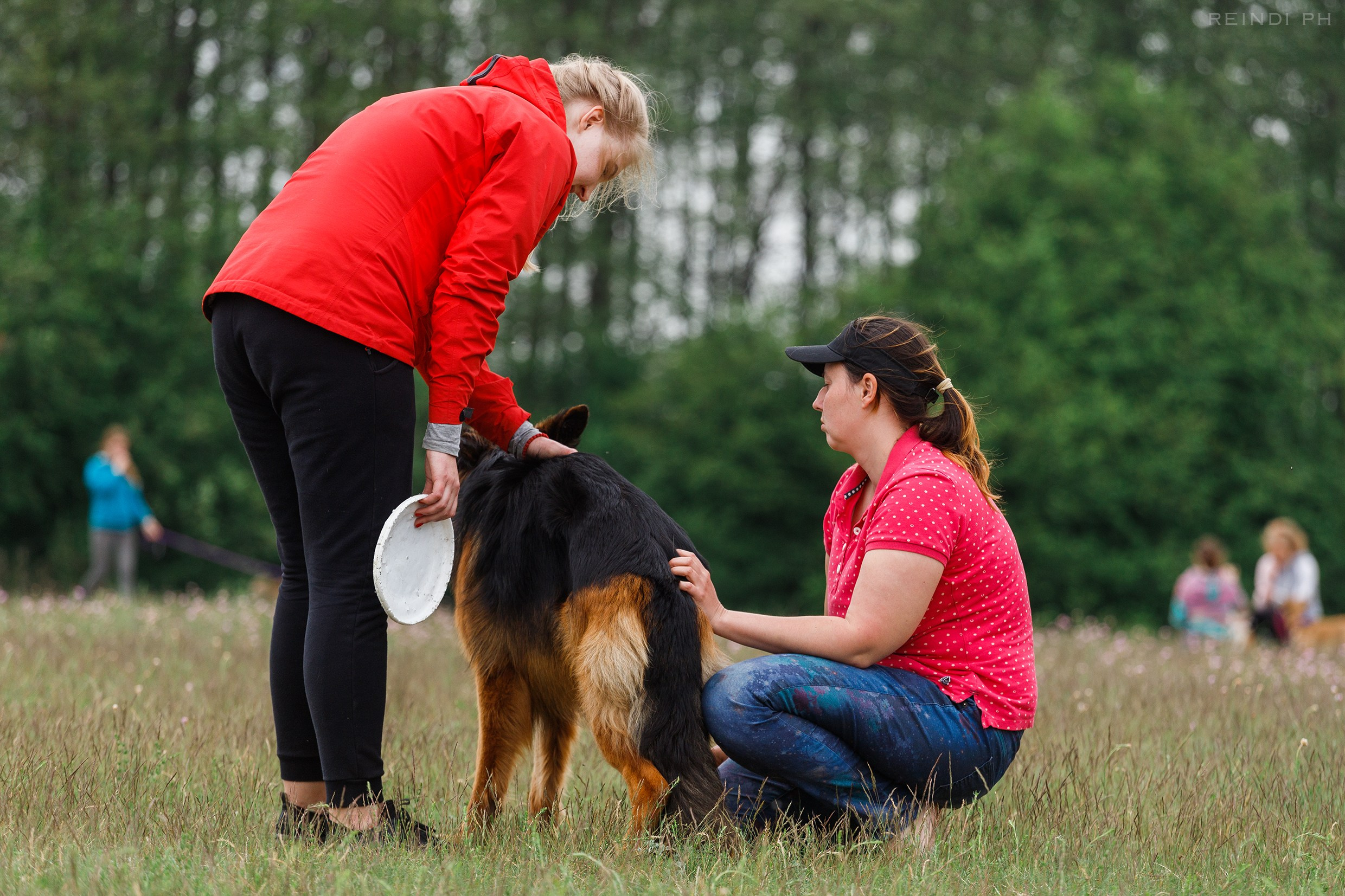 Dog frisbee championship | summer. Kaja | fotograf we Wrocławiu | ludzie i psy