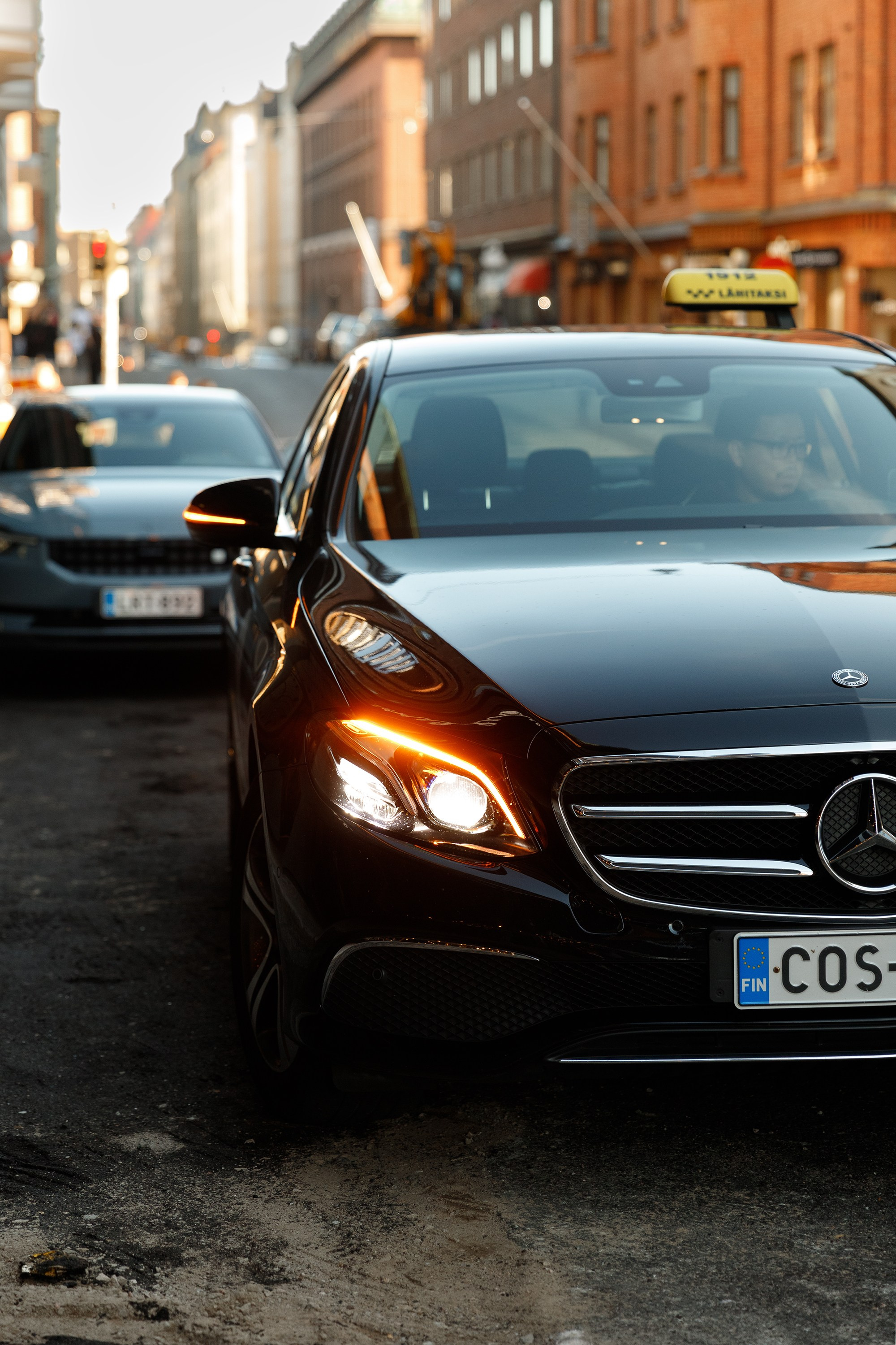 Helsinki. Kaja | fotograf psów we Wrocławiu