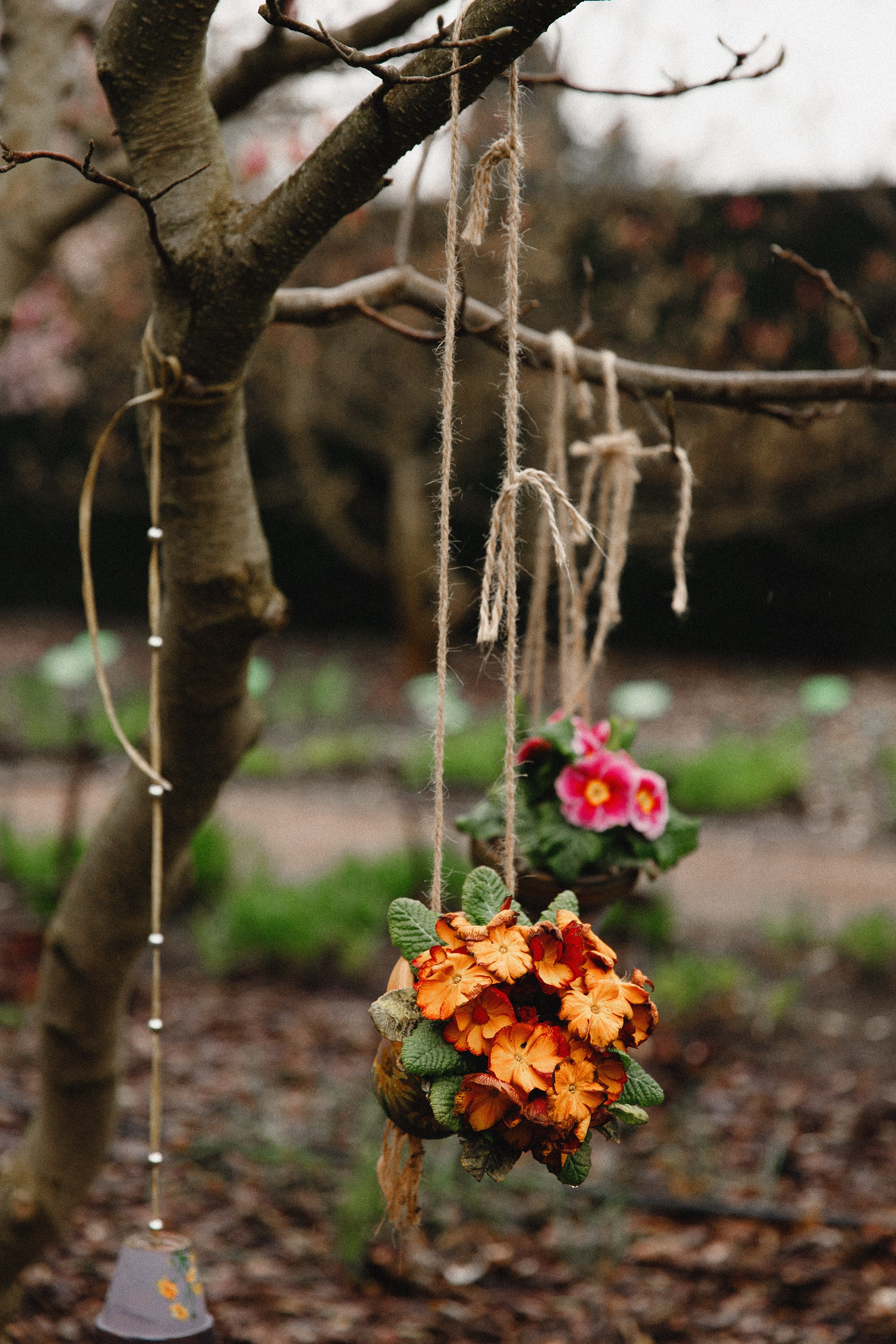 Botanical garden in Wroclaw. Kaja | fotograf we Wrocławiu | ludzie i psy
