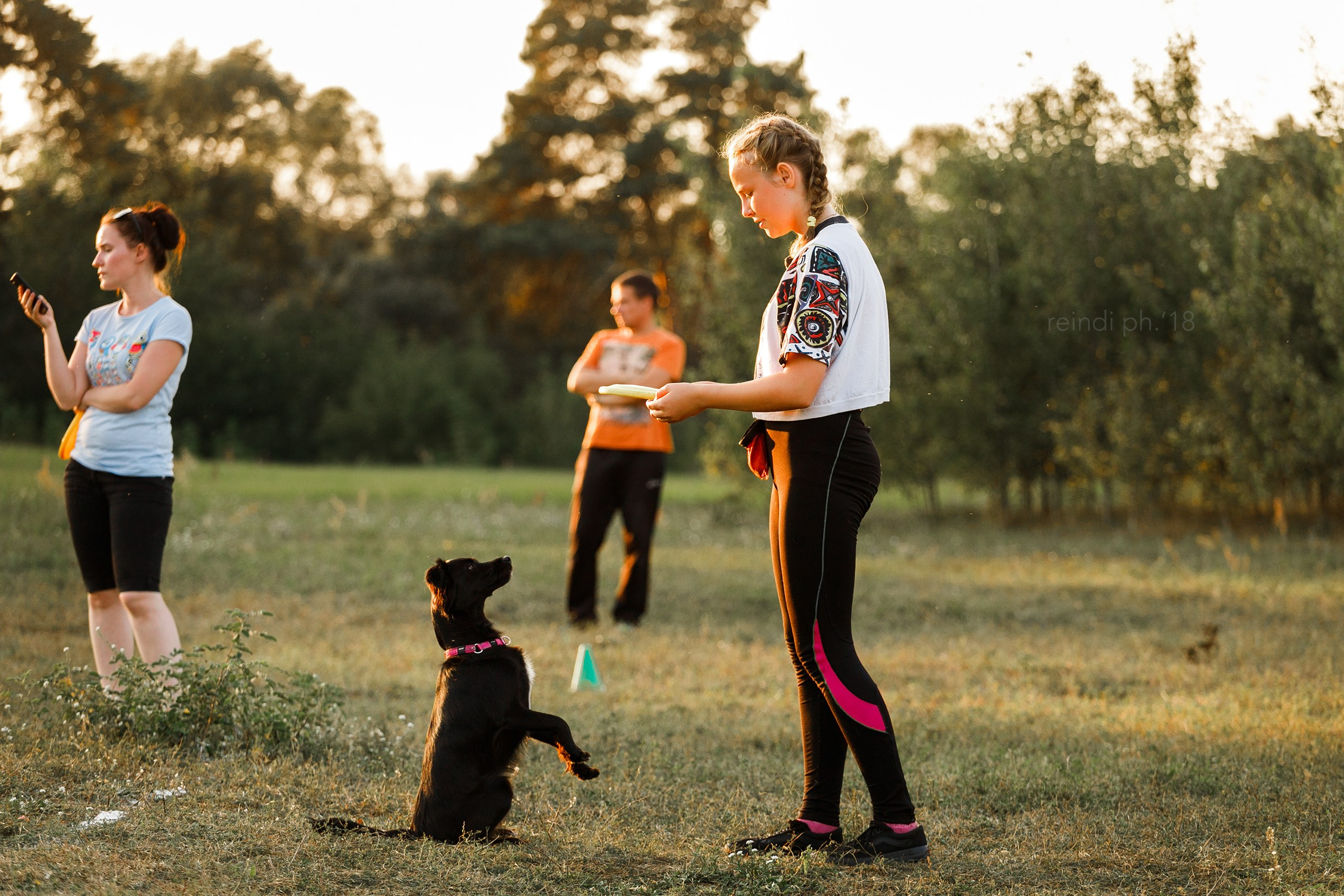 Frisbee training at sunset | summer. Kaja | fotograf we Wrocławiu | ludzie i psy