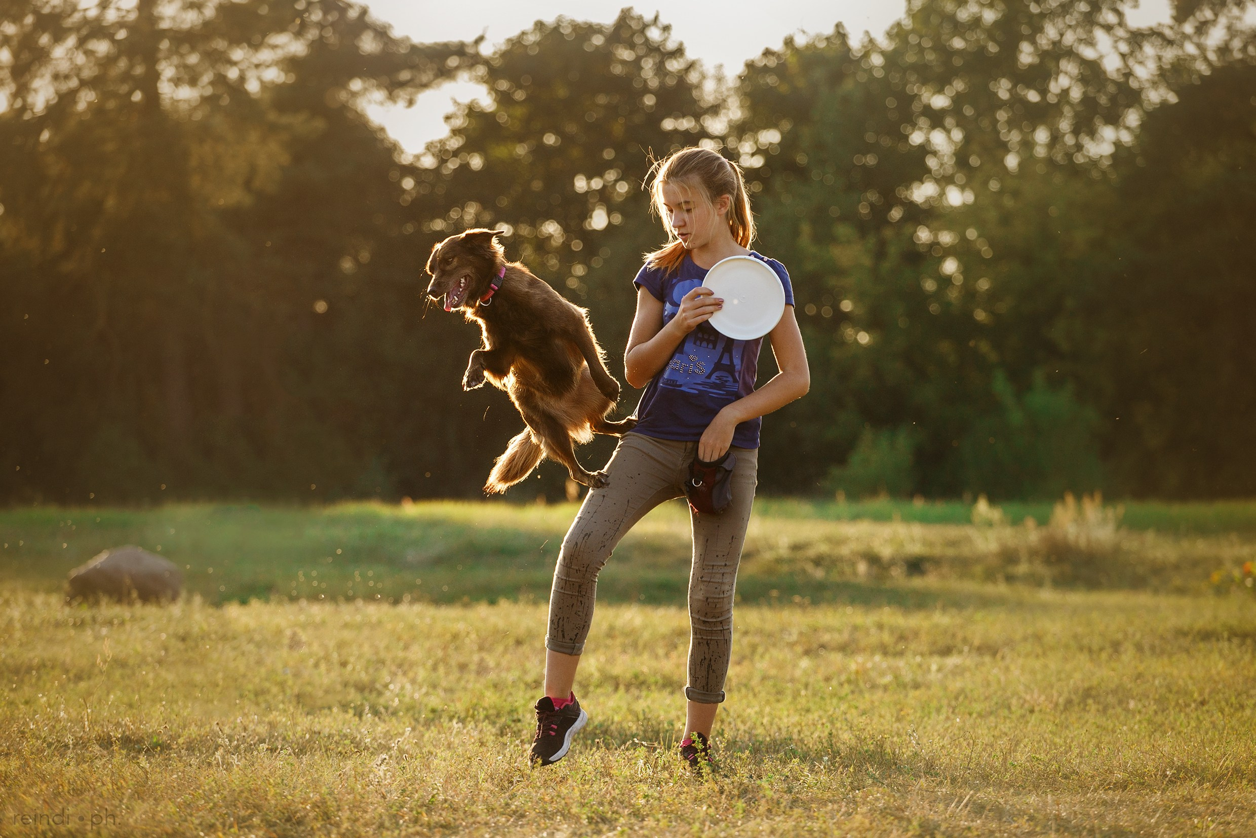 Frisbee training at sunset | summer. Kaja | fotograf we Wrocławiu | ludzie i psy