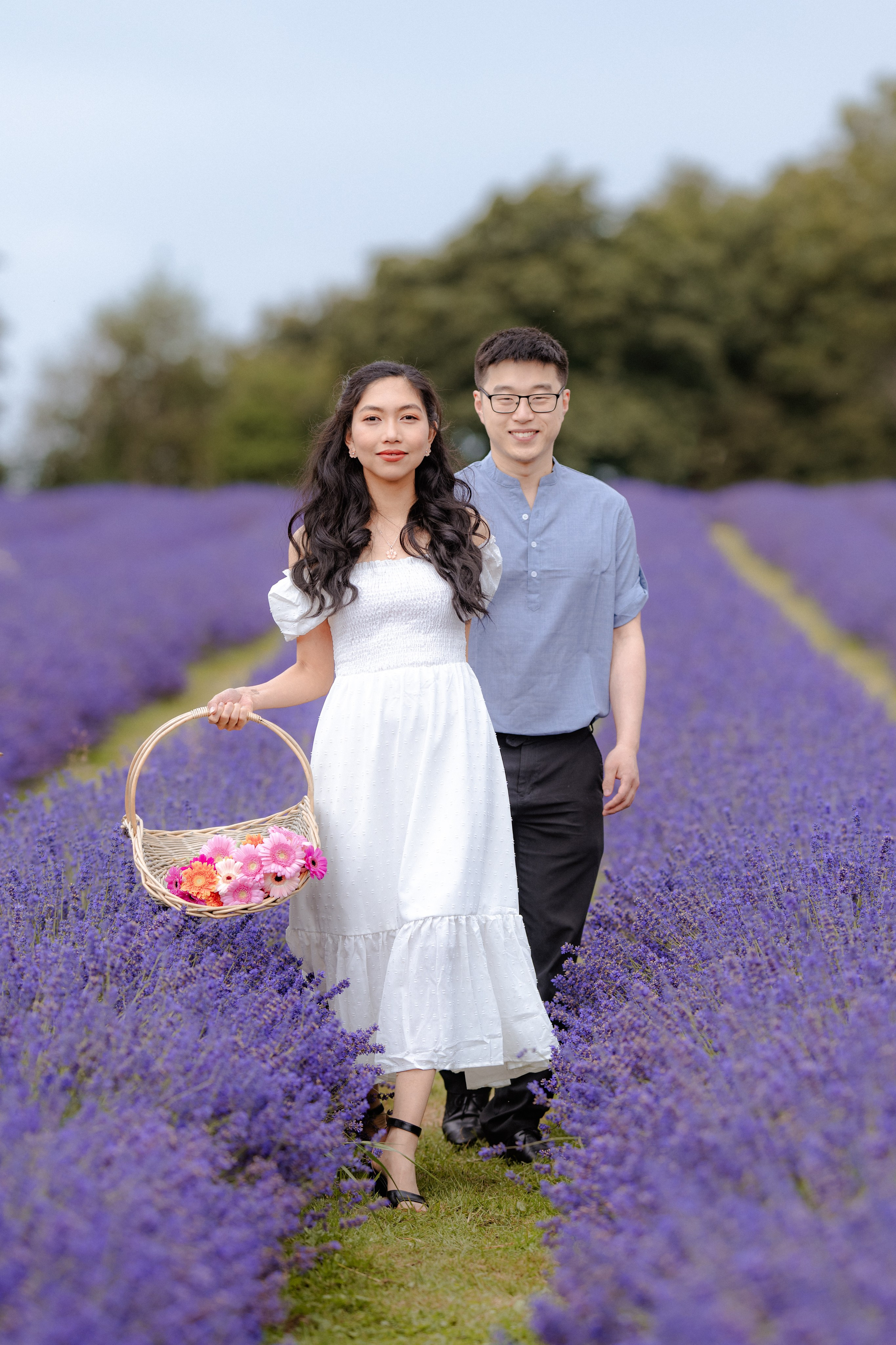 A & M Lavender farm. Tania Gandrabur, photographer in West Midlands, England