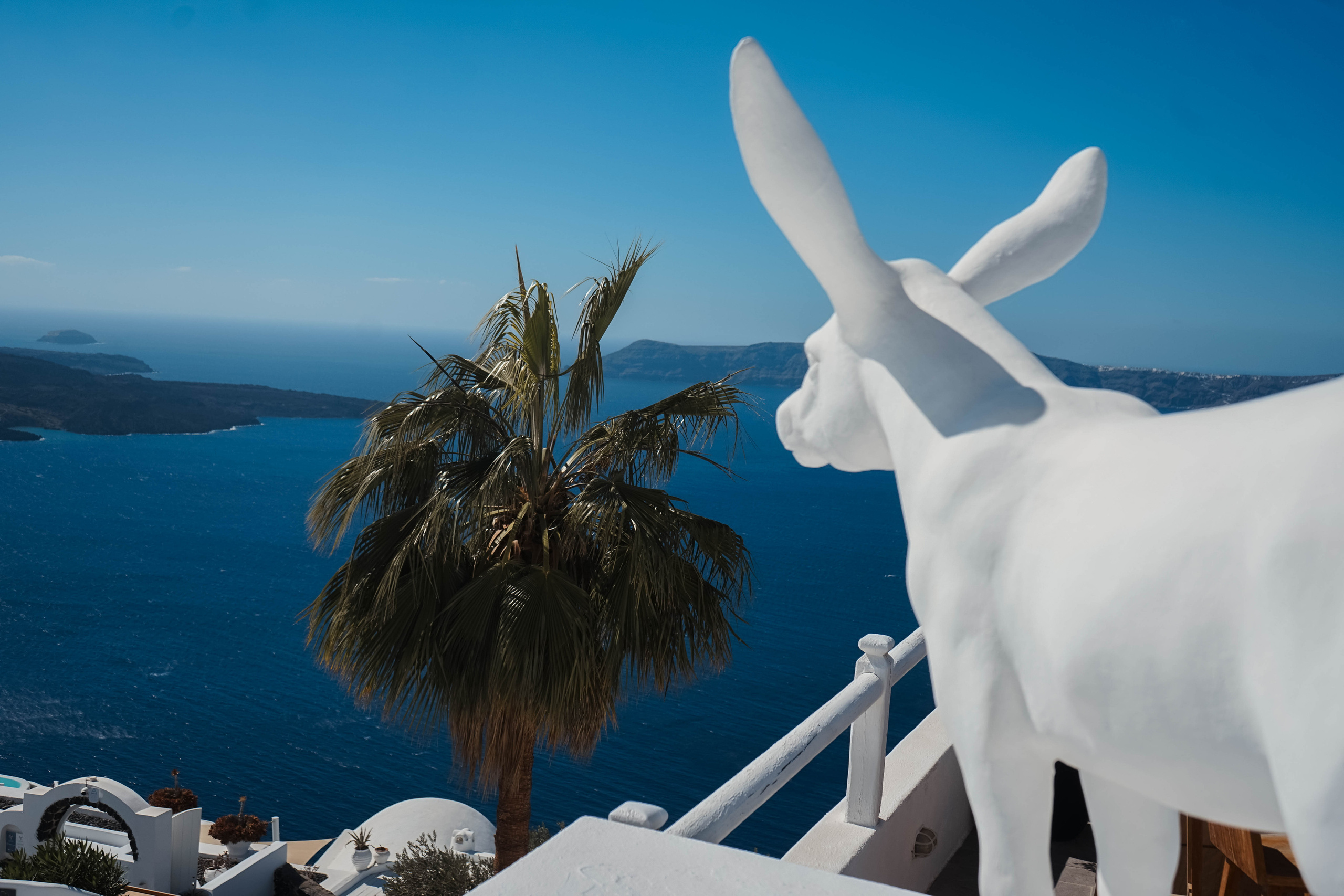 donkey symbol in santorini
