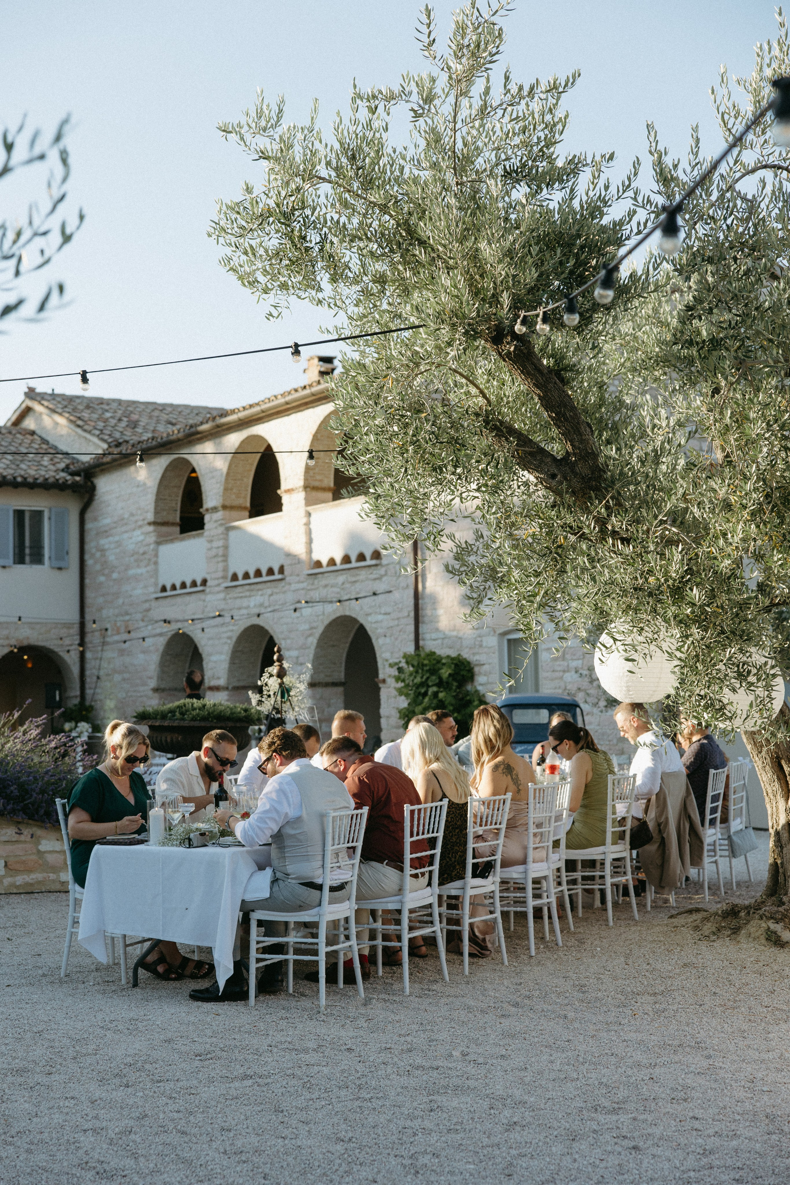 Sofia&Falk. Весільний фотограф Вікторія Саврук