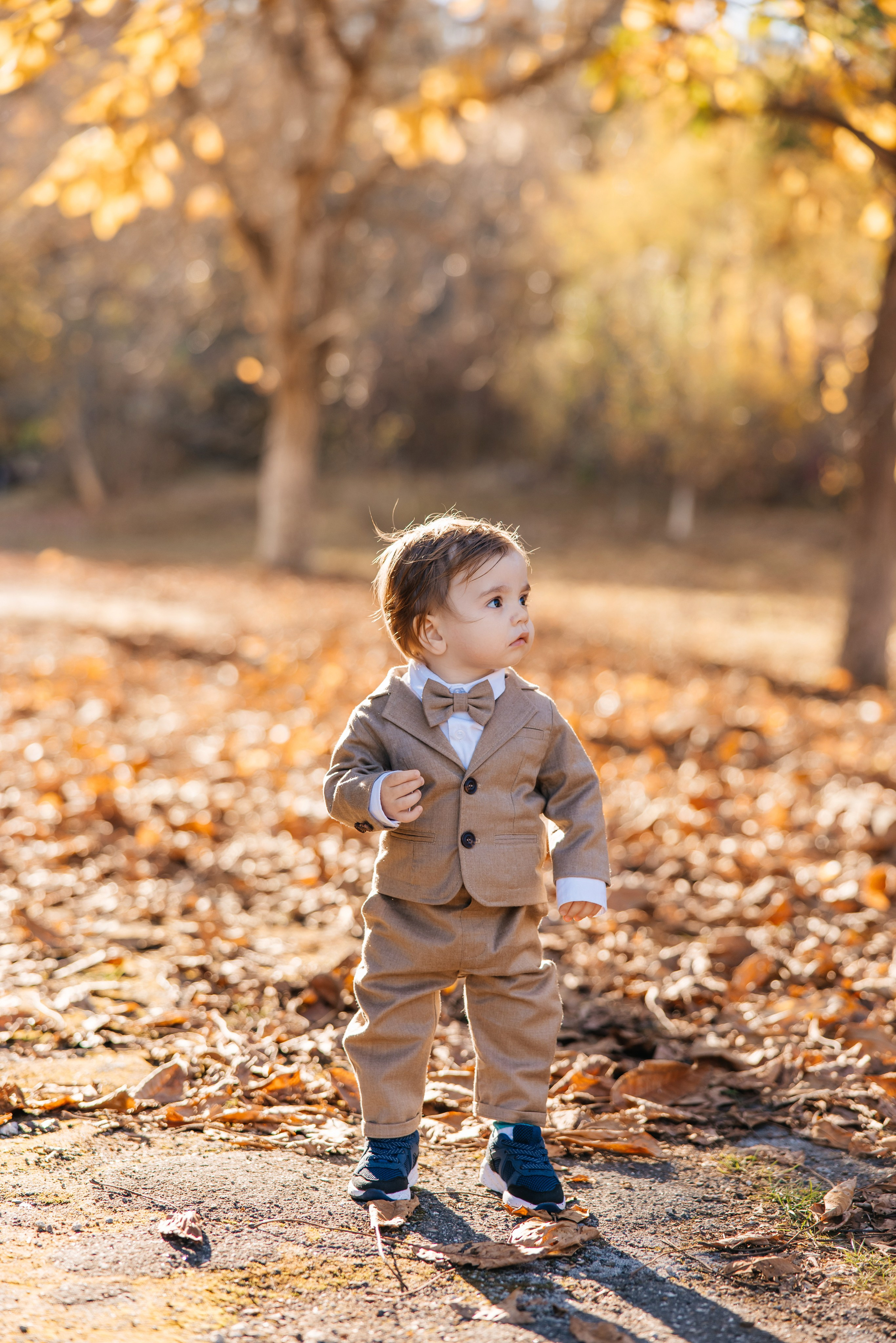 Mark. Furduidumitru.com