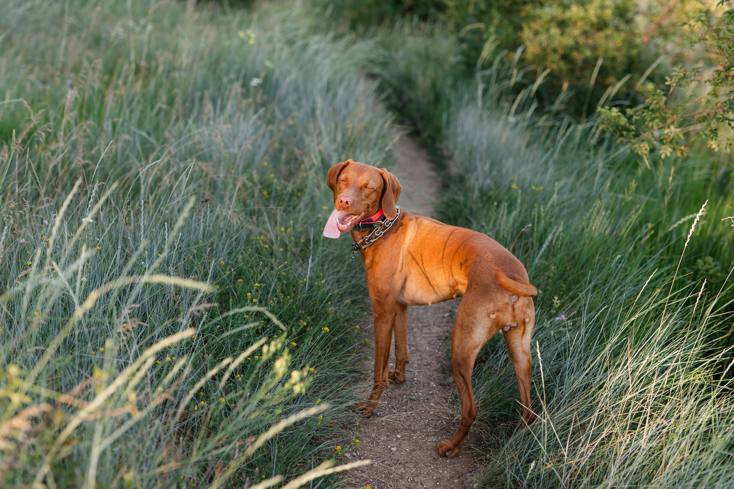 Nico, Luci & Ilaria — Family. Main