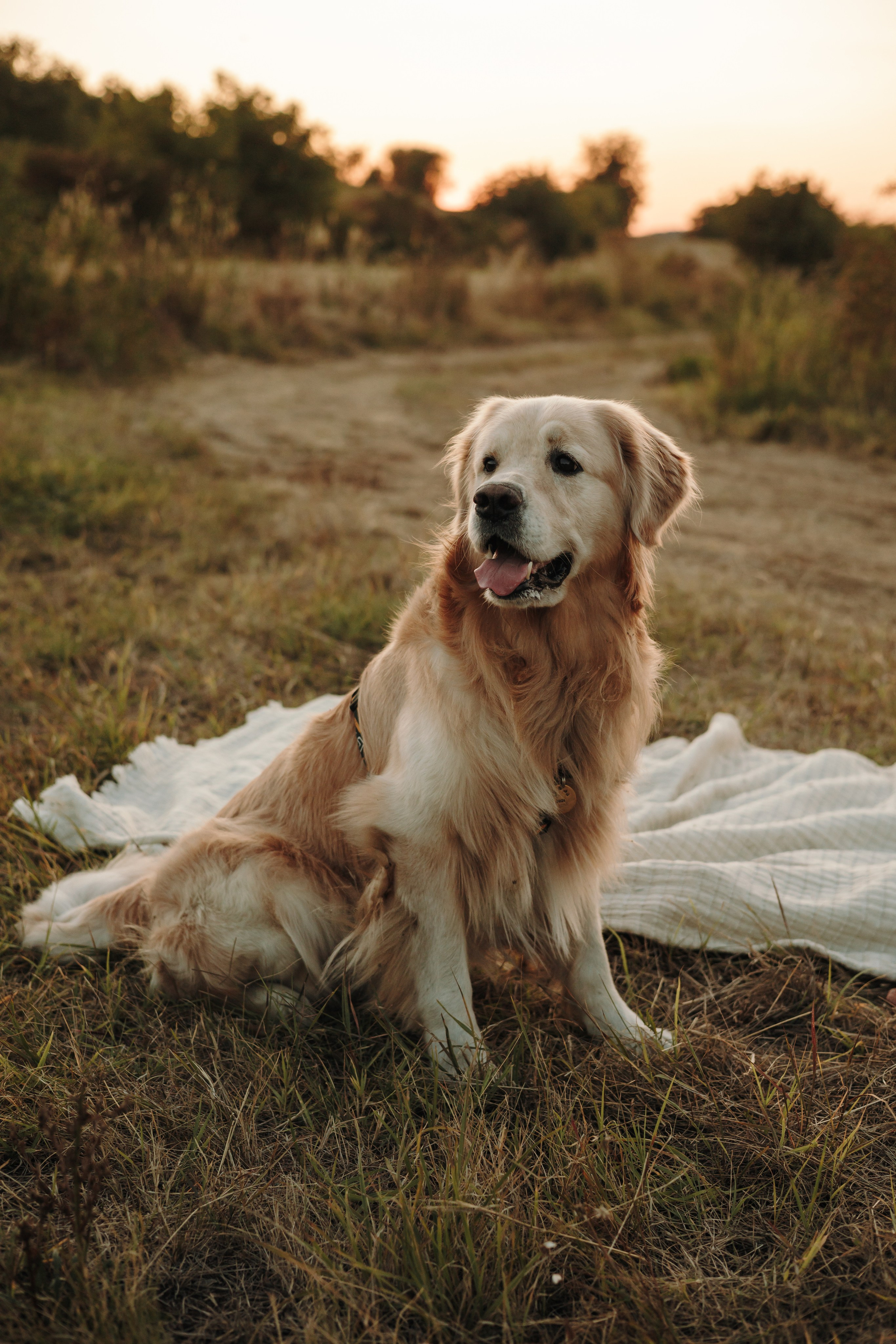 Катя и Бро. Фотограф-анималист | Белград