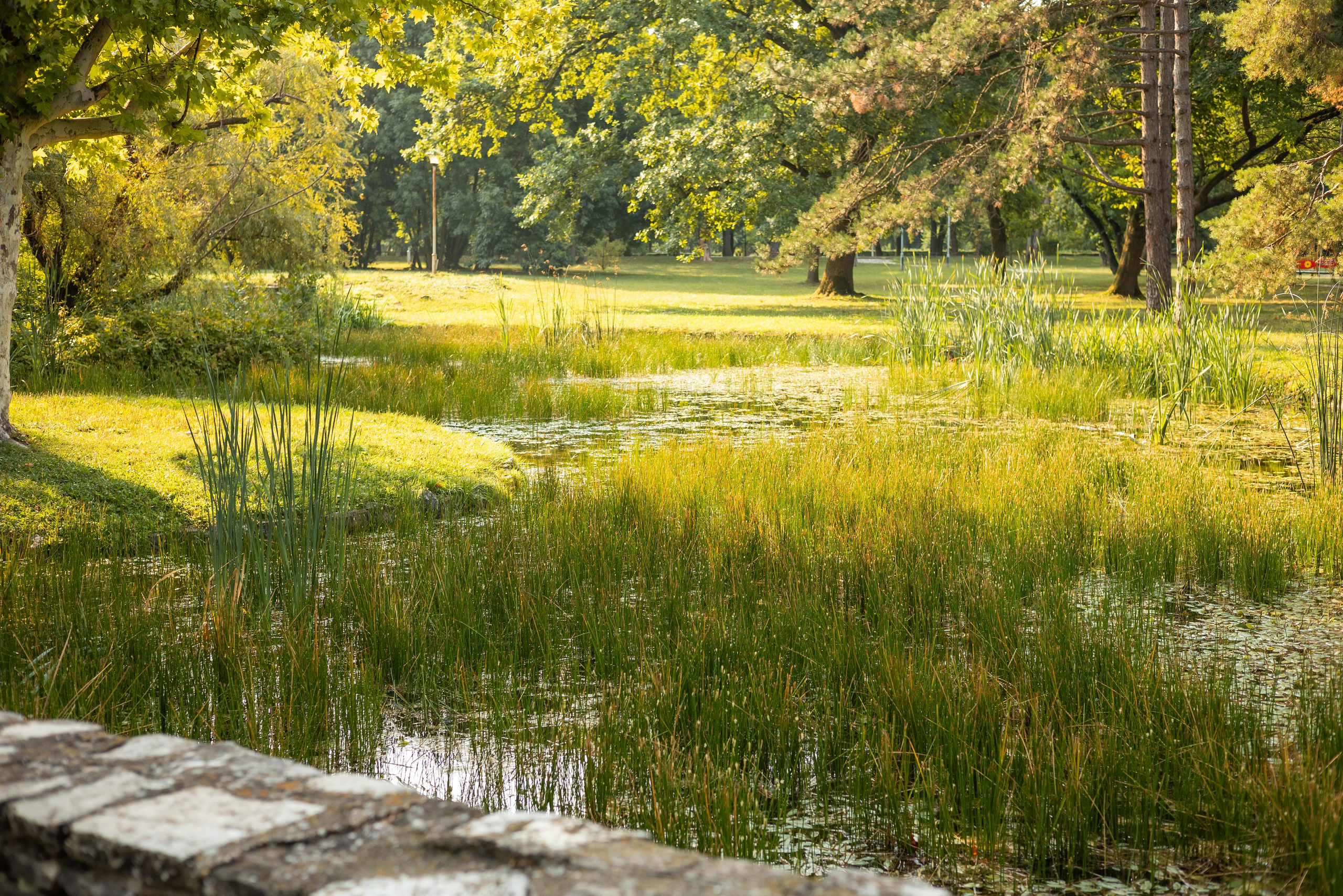 Мария и Санти. Фотограф-анималист | Белград