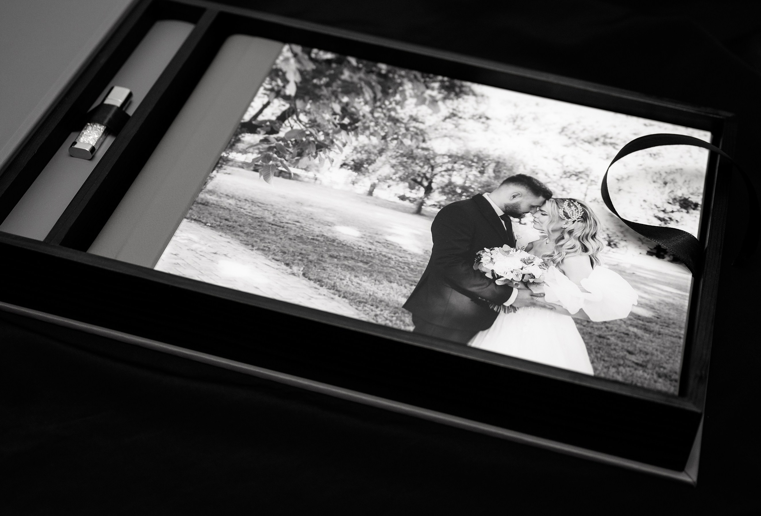 Albume Bogdan Palenciuc