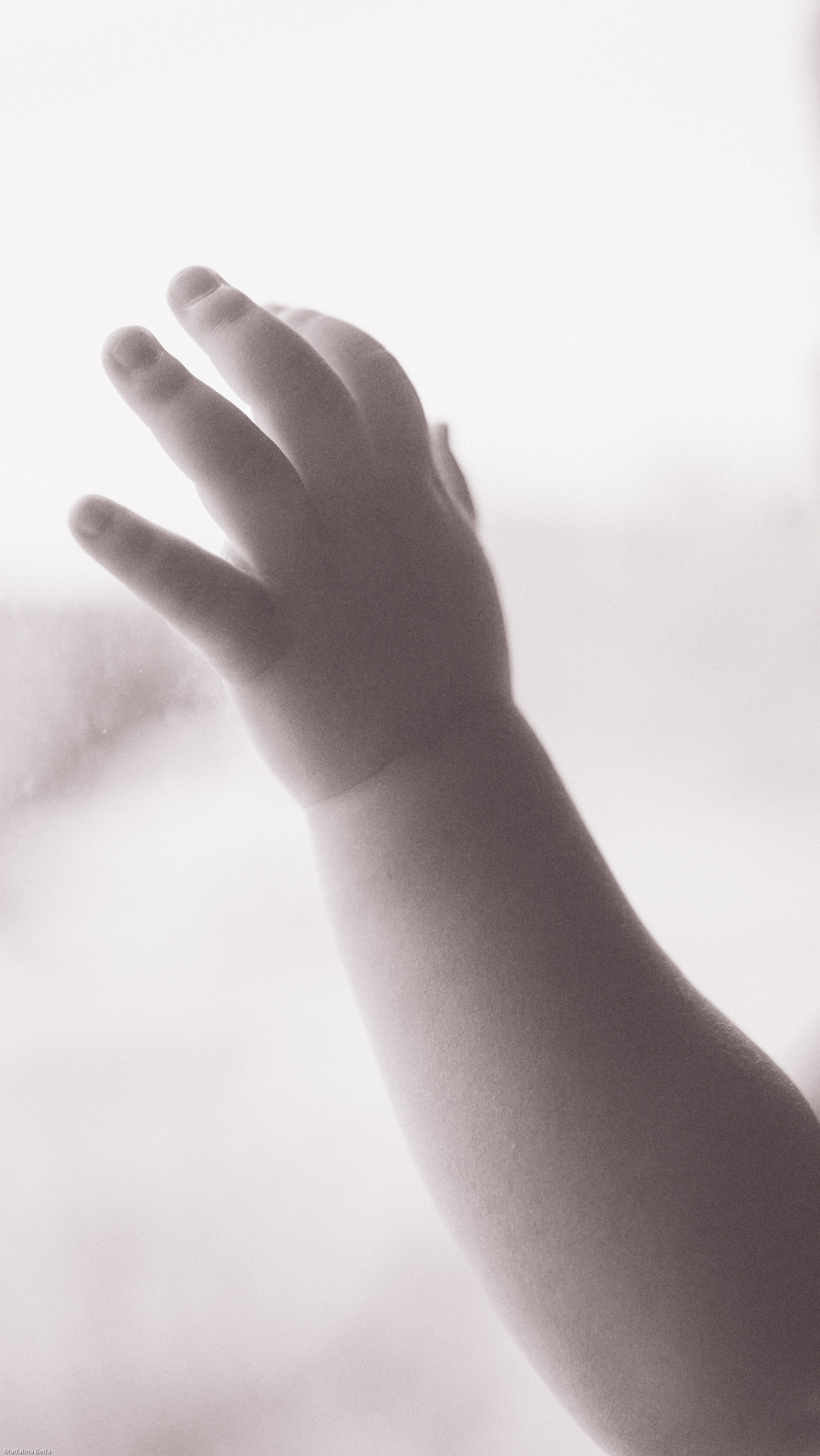 Mother Earth: Proiect de Fotografie Maternitate | Mădălina Beda. Madalina Beda- Artist vizual, fotograf, doula la nastere, consultant babywearing Brasov si in toata tara