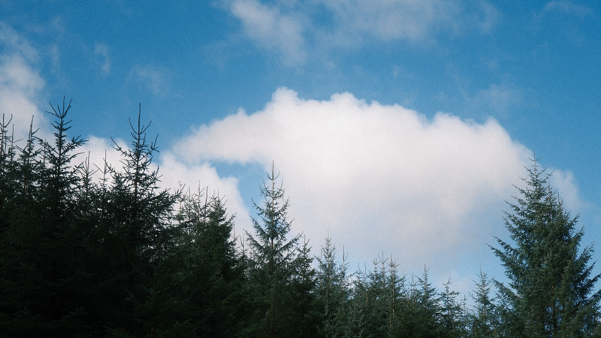 Wales Road Trip 2026. Callum Ecobichon