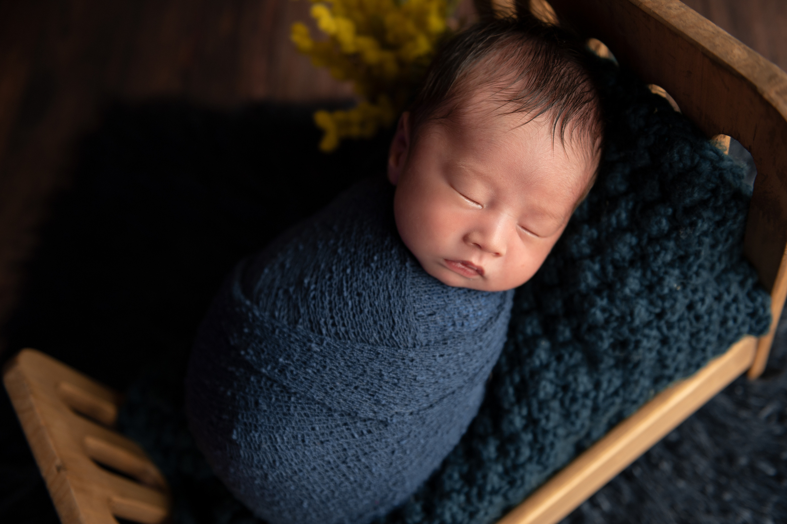 ギャラリー. 出張撮影　新生児ファインアート写真