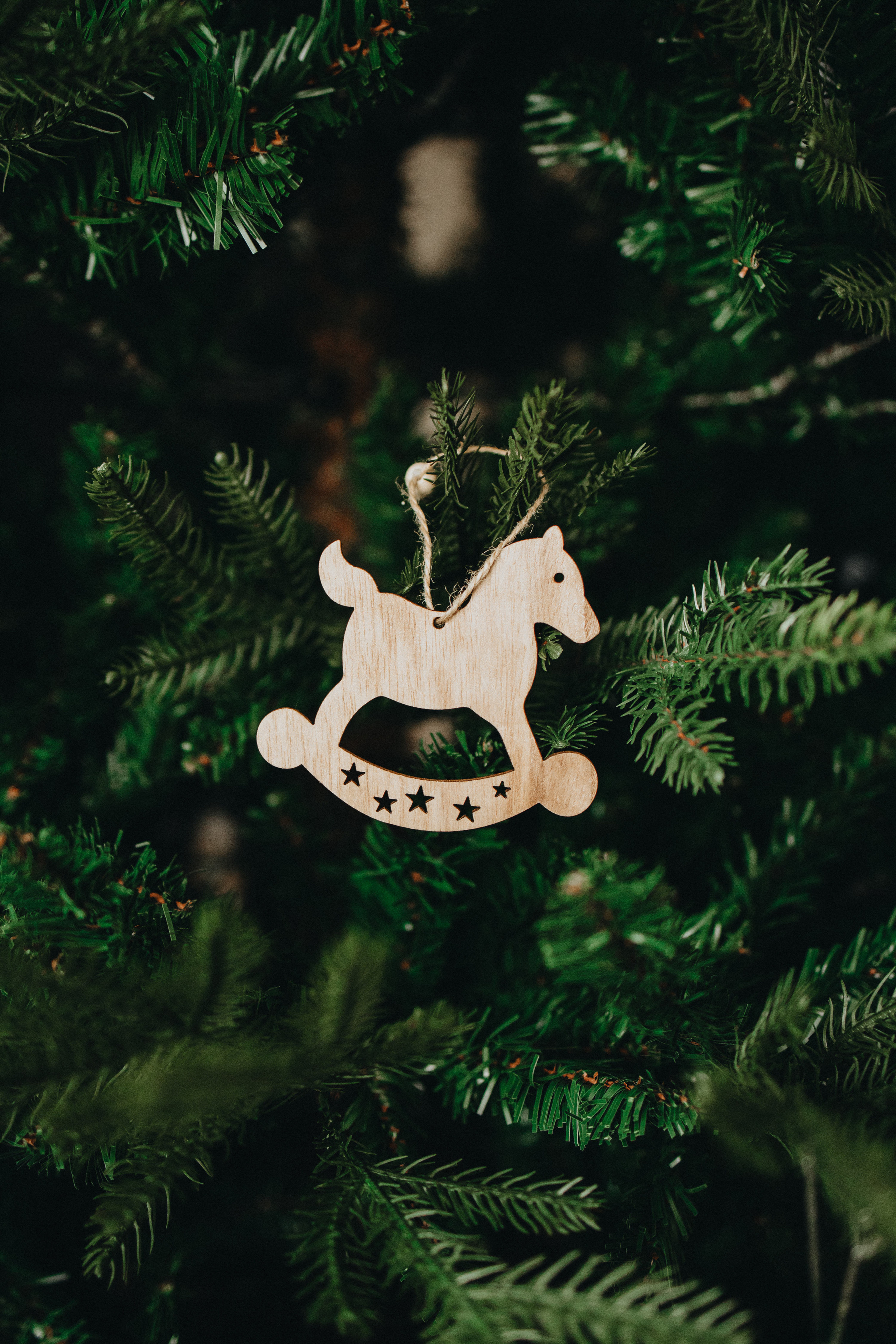 Family Christmas Photography in Portland, Seattle, Bend & Oregon Coast | Holiday Home Photoshoots | Georgy Shishkin. Capturing Love in the Heart of the Pacific Northwes