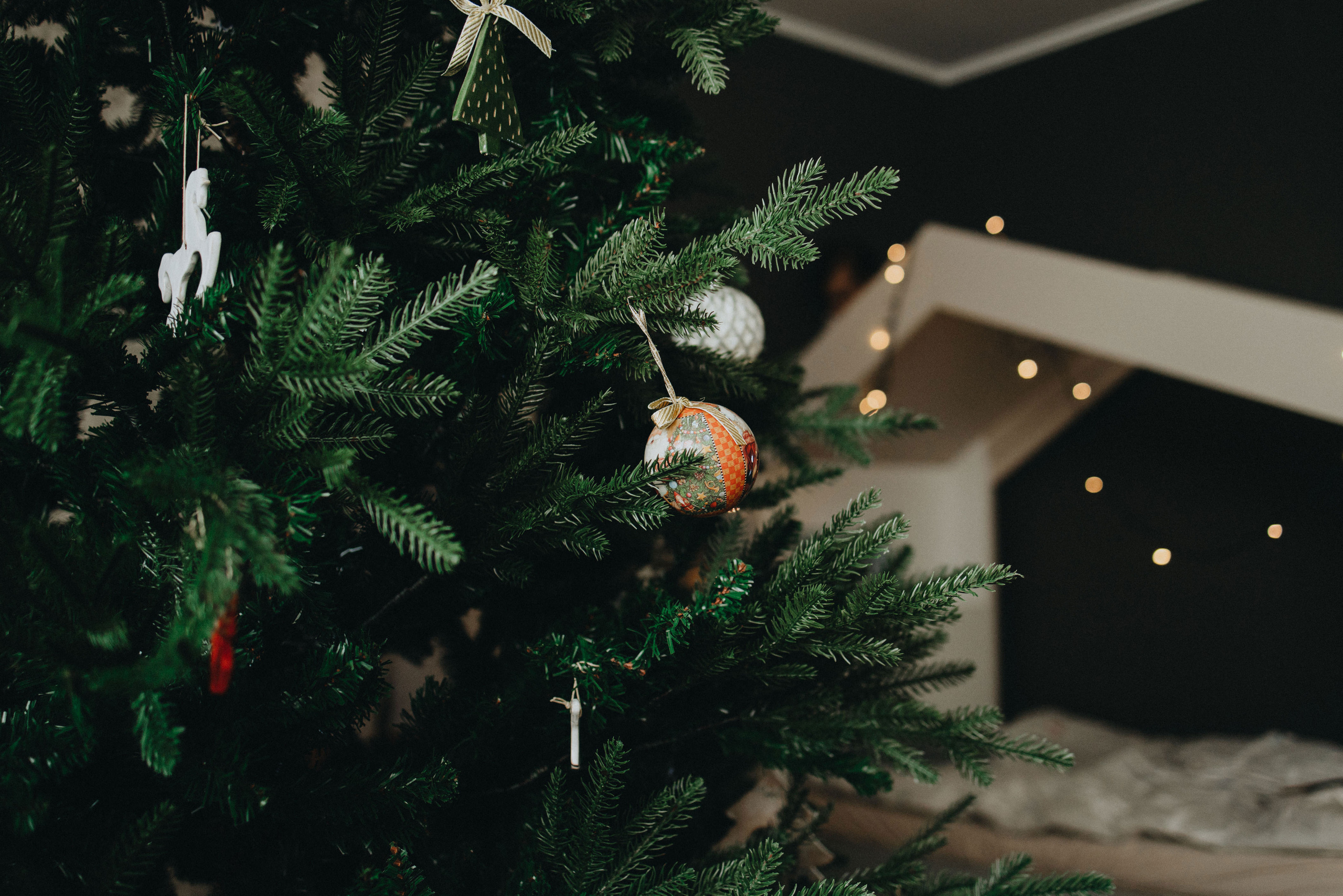 Family Christmas Photography in Portland, Seattle, Bend & Oregon Coast | Holiday Home Photoshoots | Georgy Shishkin. Capturing Love in the Heart of the Pacific Northwes