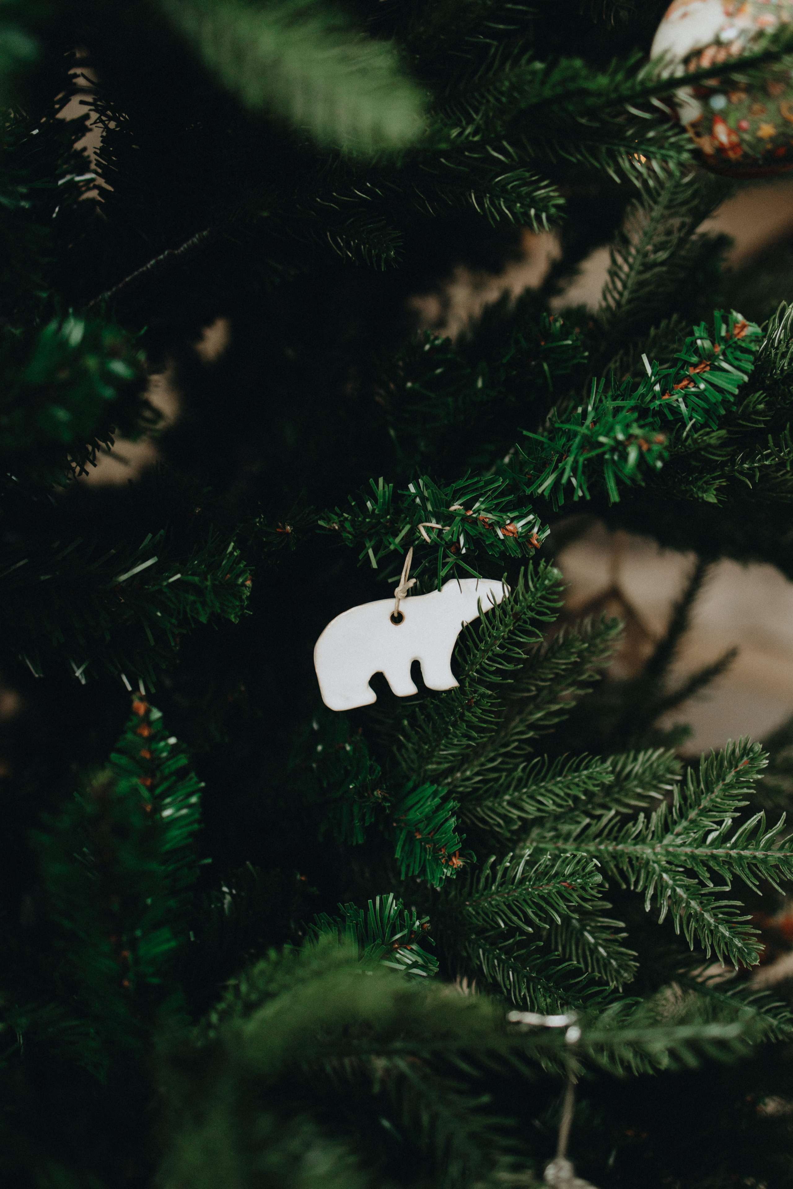 Family Christmas Photography in Portland, Seattle, Bend & Oregon Coast | Holiday Home Photoshoots | Georgy Shishkin. Capturing Love in the Heart of the Pacific Northwes