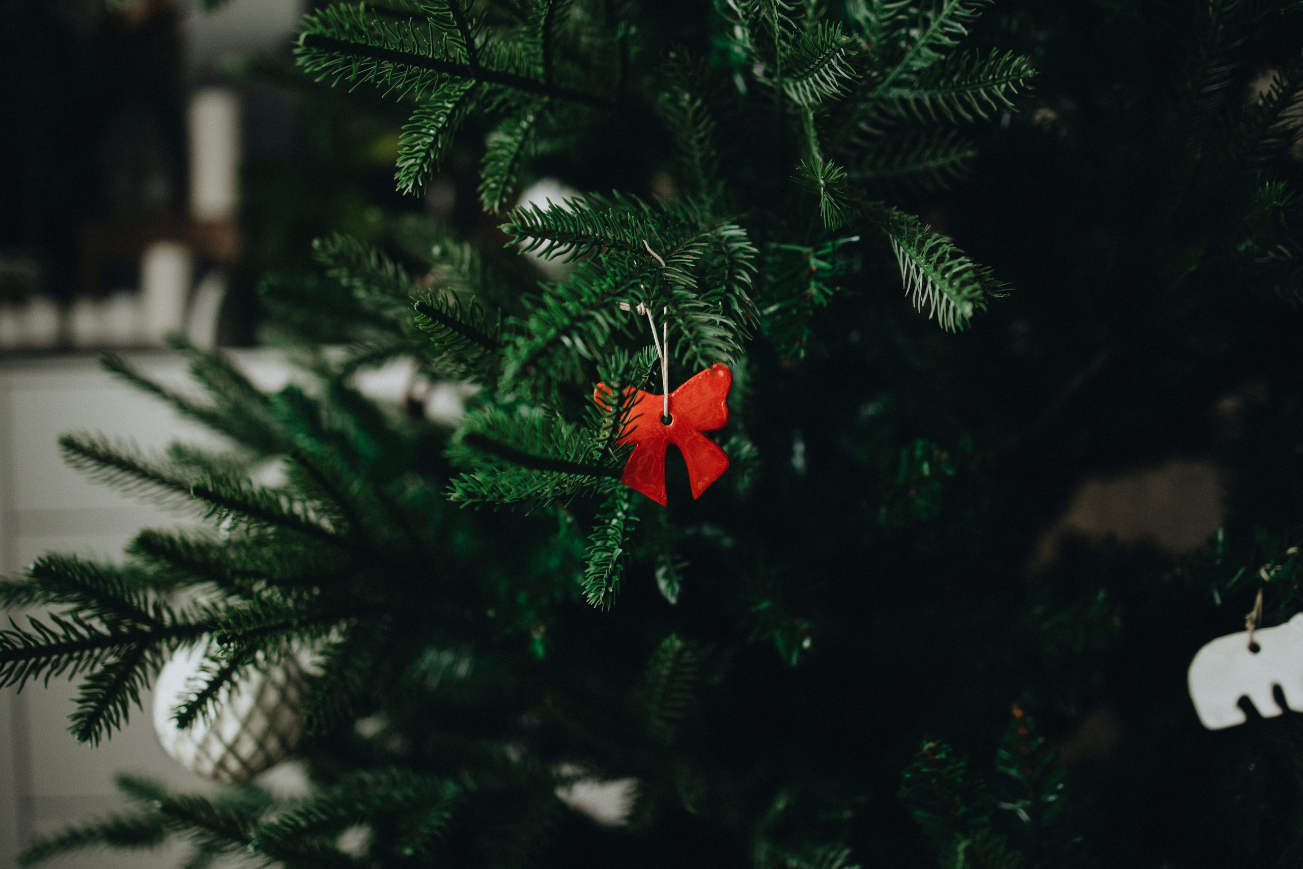 Family Christmas Photography in Portland, Seattle, Bend & Oregon Coast | Holiday Home Photoshoots | Georgy Shishkin. Capturing Love in the Heart of the Pacific Northwes