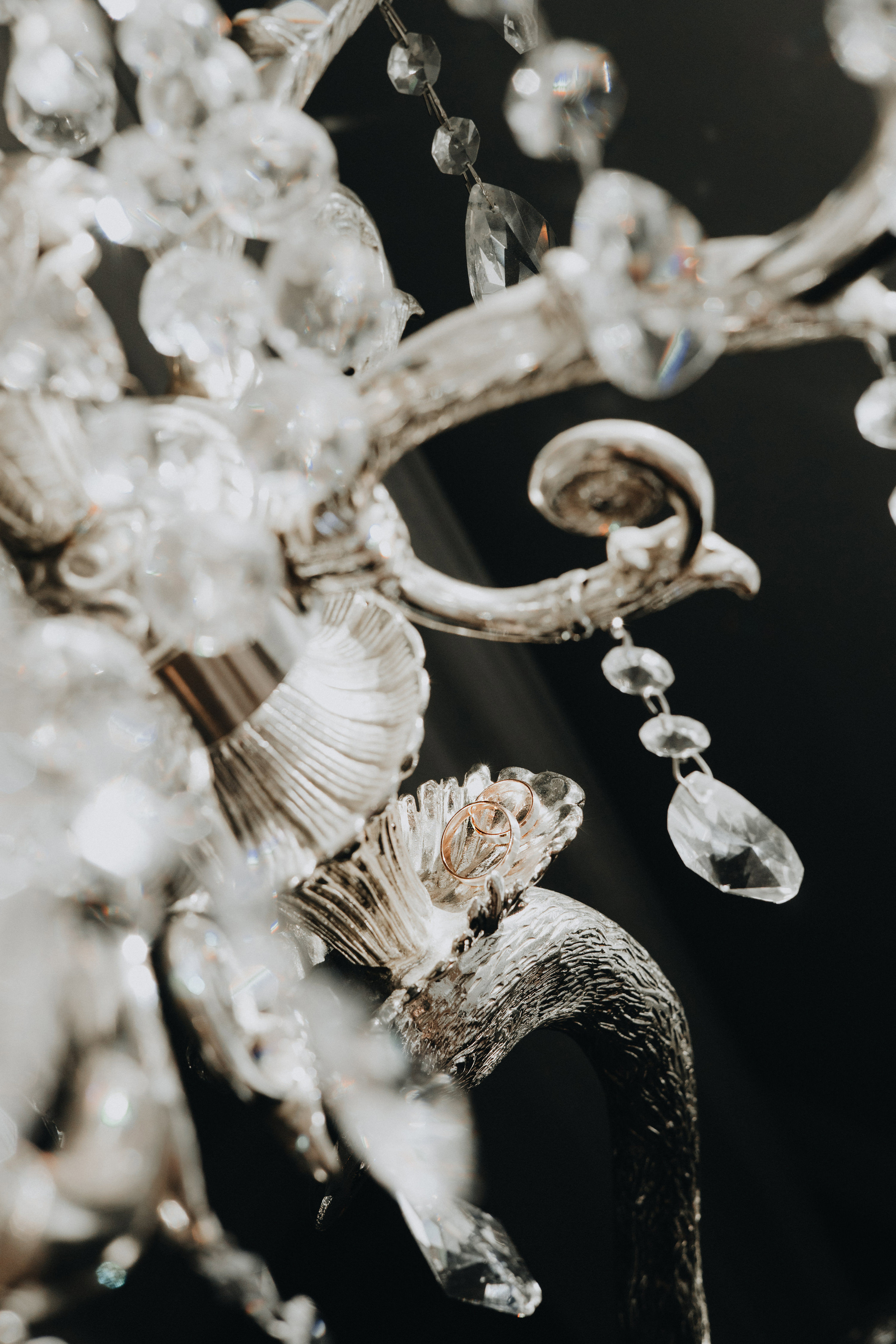 Christmas Wedding Photography in Portland, Seattle, Bend & Oregon Coast | Georgy Shishkin. Capturing Love in the Heart of the Pacific Northwes