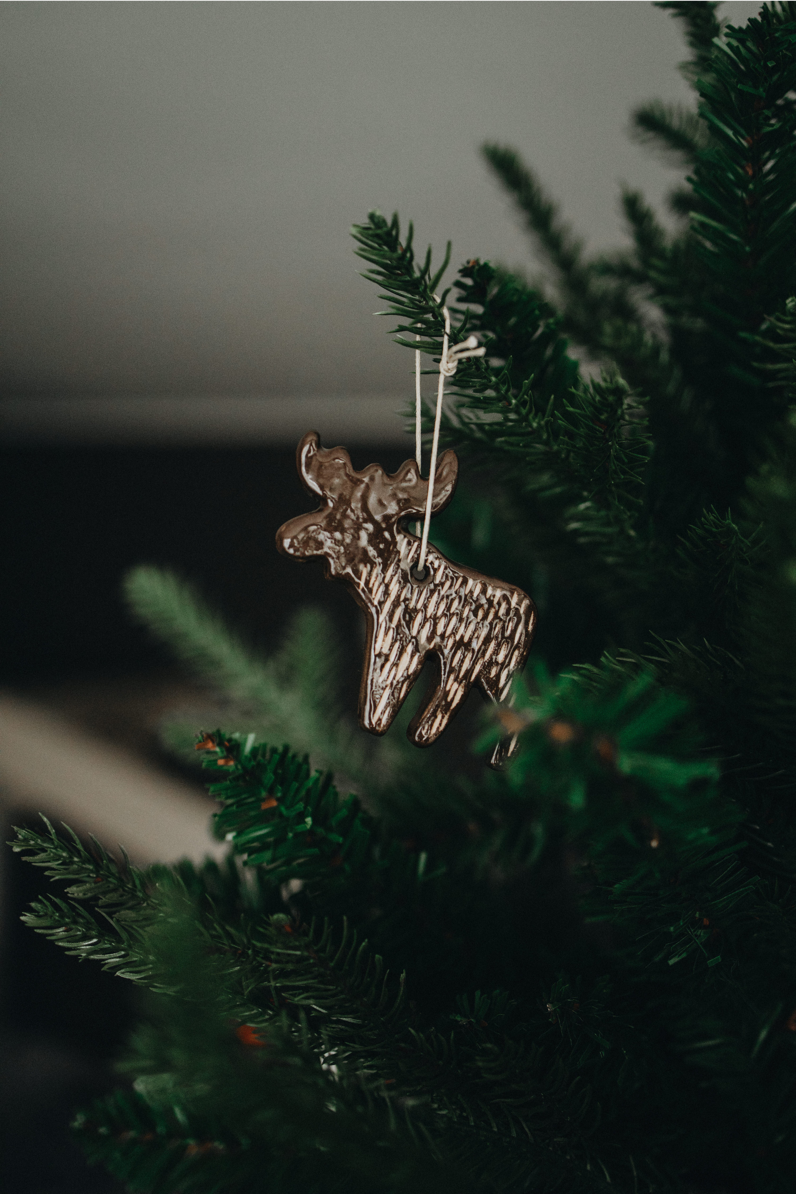 Family Christmas Photography in Portland, Seattle, Bend & Oregon Coast | Holiday Home Photoshoots | Georgy Shishkin. Capturing Love in the Heart of the Pacific Northwes