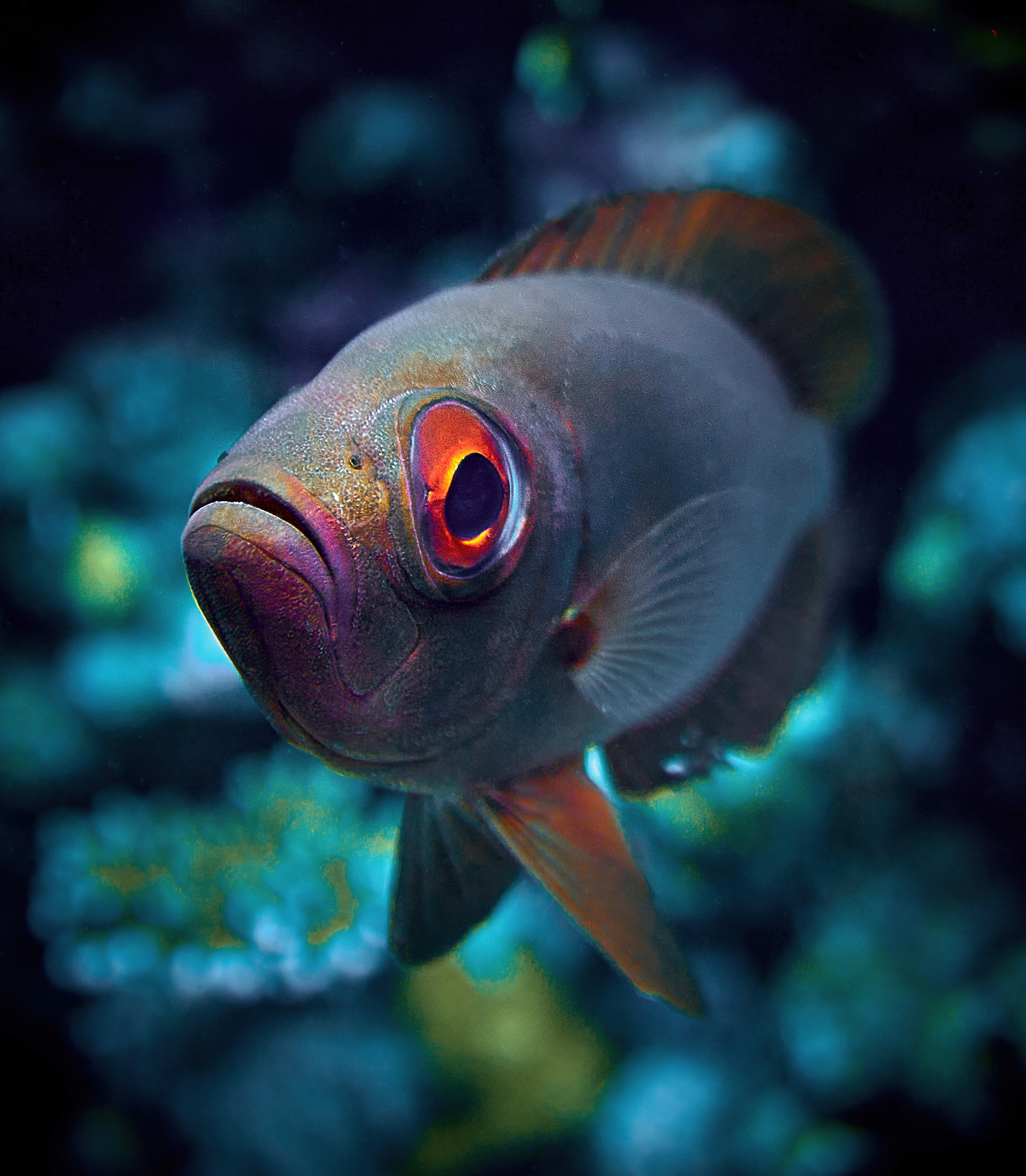 2023-11 - Diving Safari Deep South Egypt. Andriej Szypilow — Photography & Videography