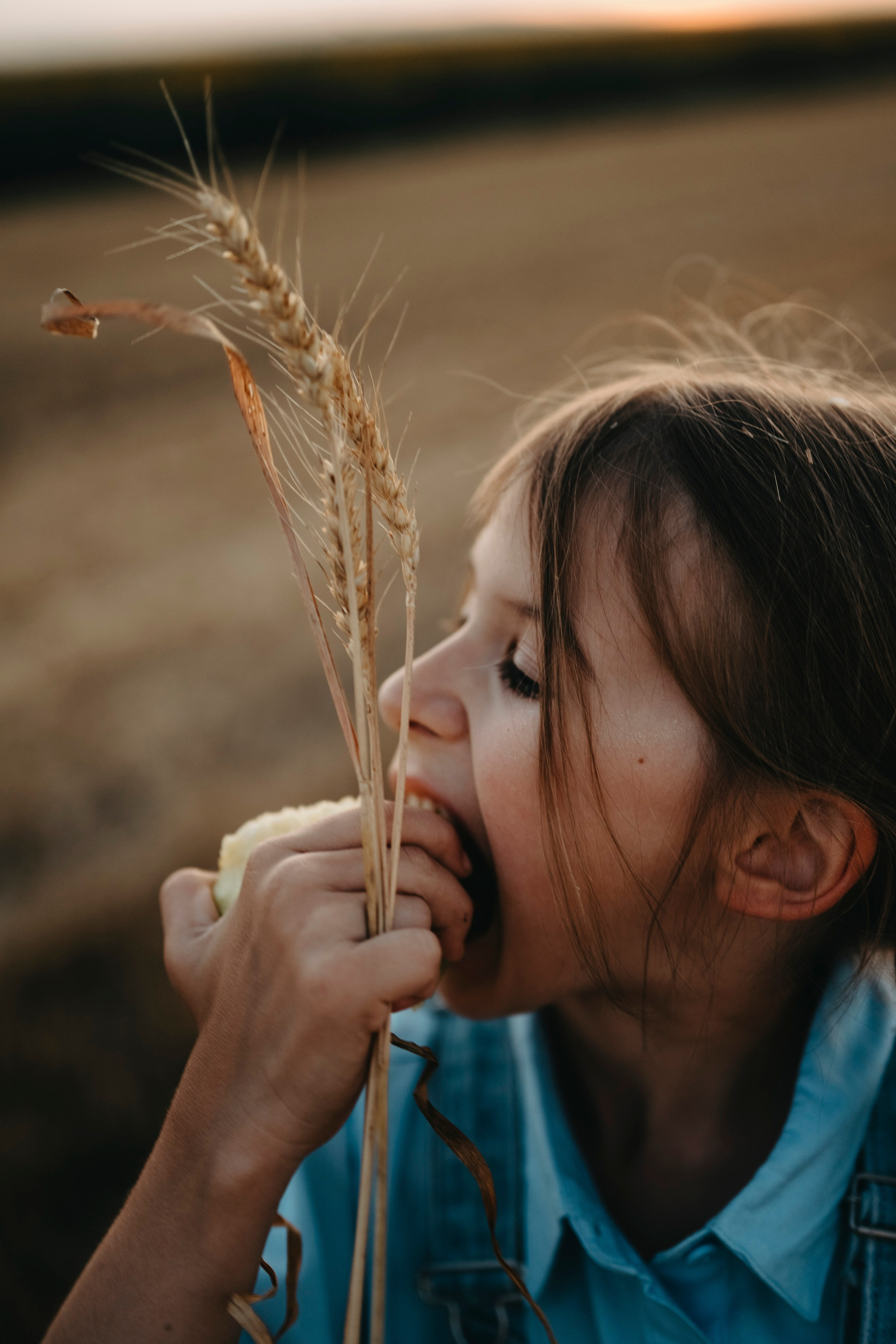 Letnje fotografisanje u polju suncokreta i sena. Deciji i porodicni fotograf u Beogradu Oksana Skendzic