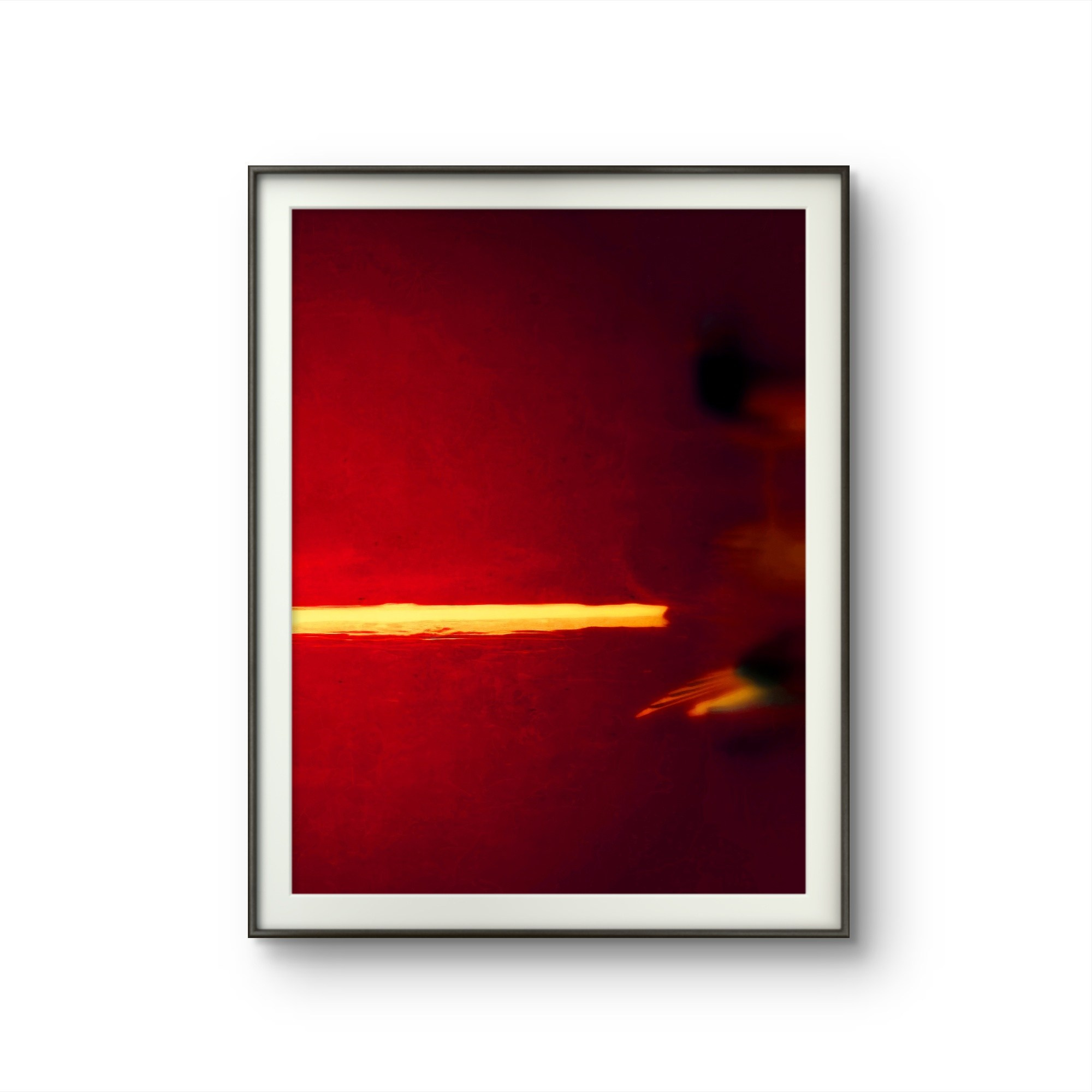 SEAGULLS. Irina Owlik — Visual Artist