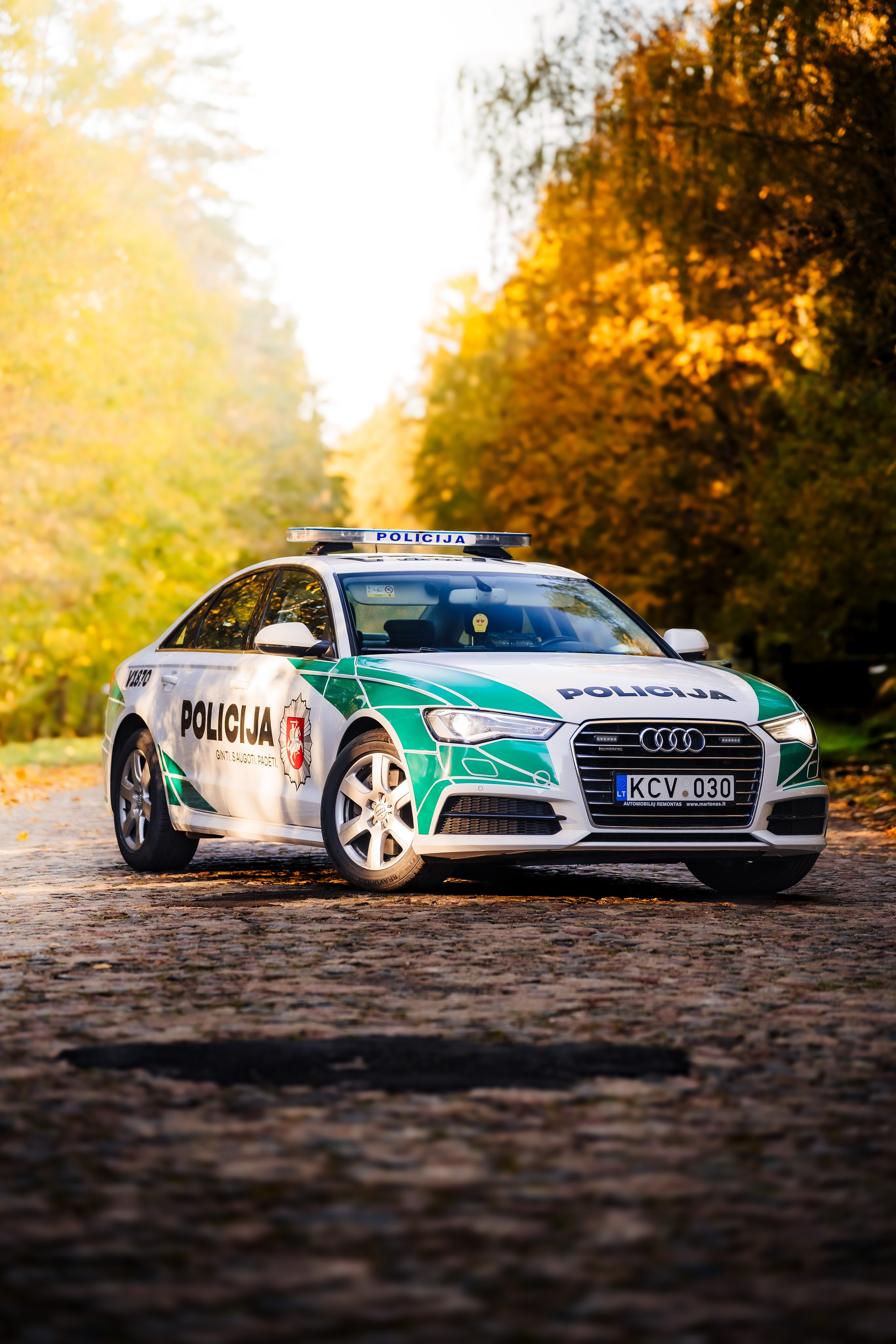 Police Cars. OnePIXEL