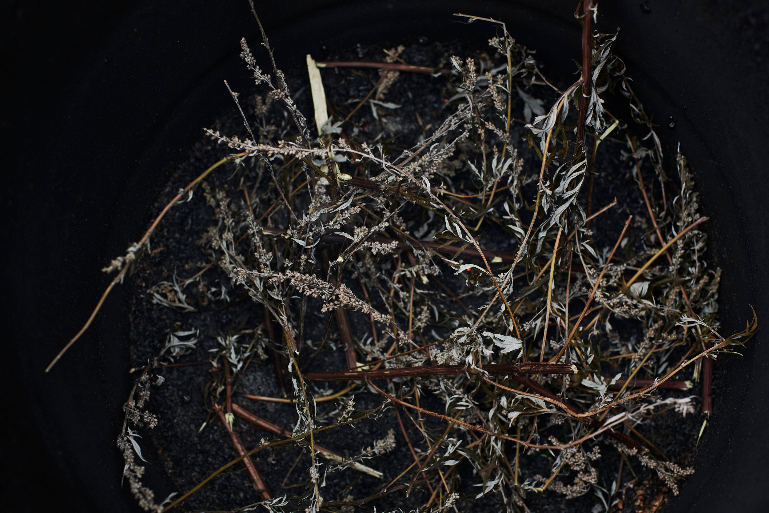 Portrait of artist Ruchama Noorda. Portrait Photographer in Brussels & Amsterdam — Victoria Ushkanova