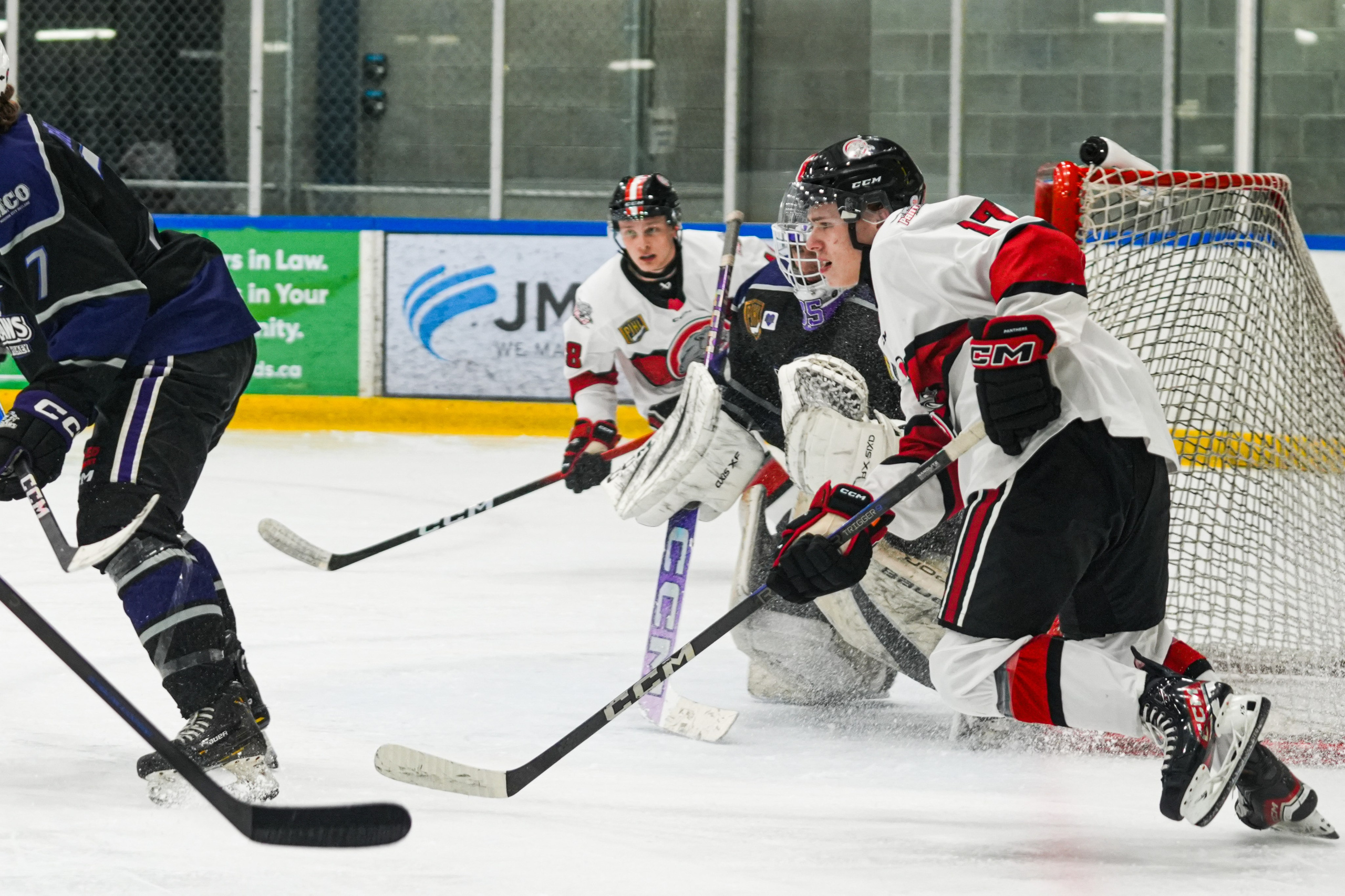 Shuttergry Photography