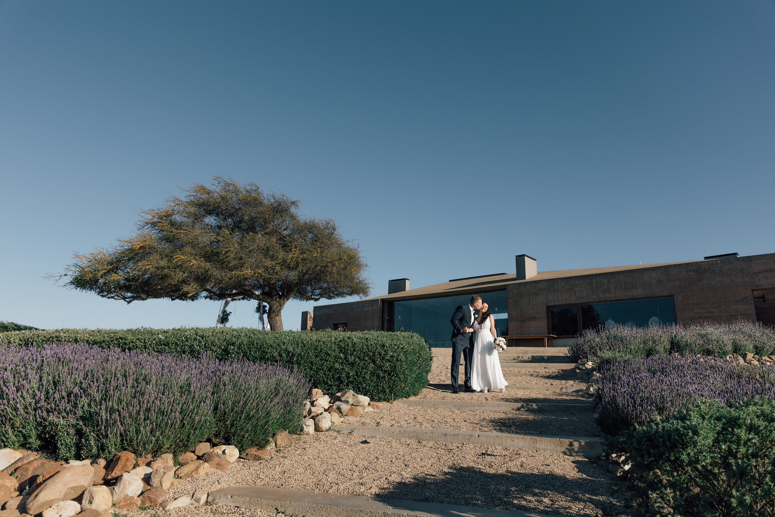 Tamara & Anton. Fotógrafa familiar Santiago y Chile Anna Almazova