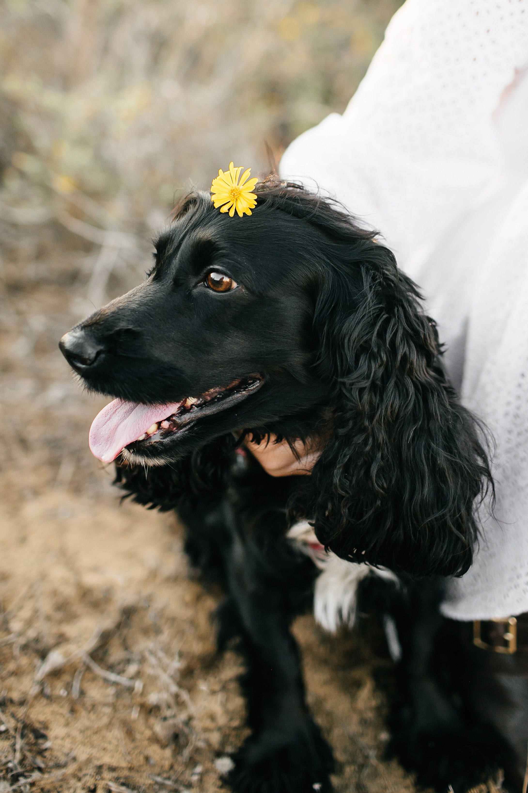 3 sisters Netanya. Family photographer in Israel