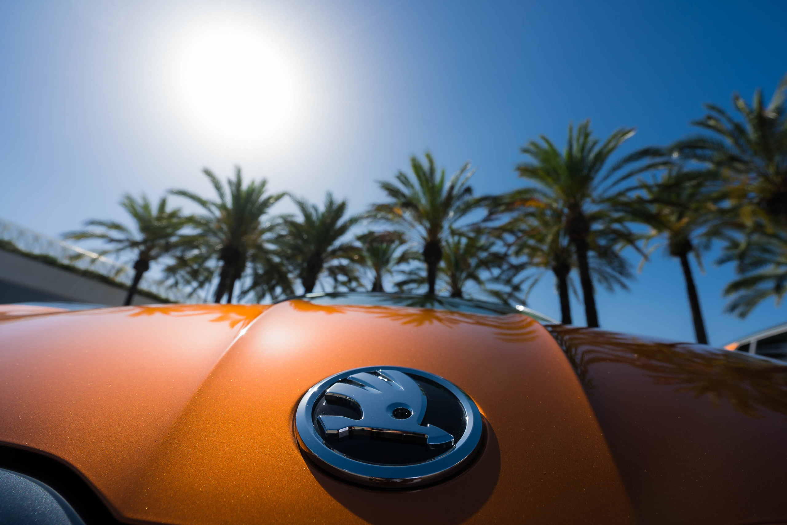 Skoda cars are ready to be picked up at Palma of Mallorca airport