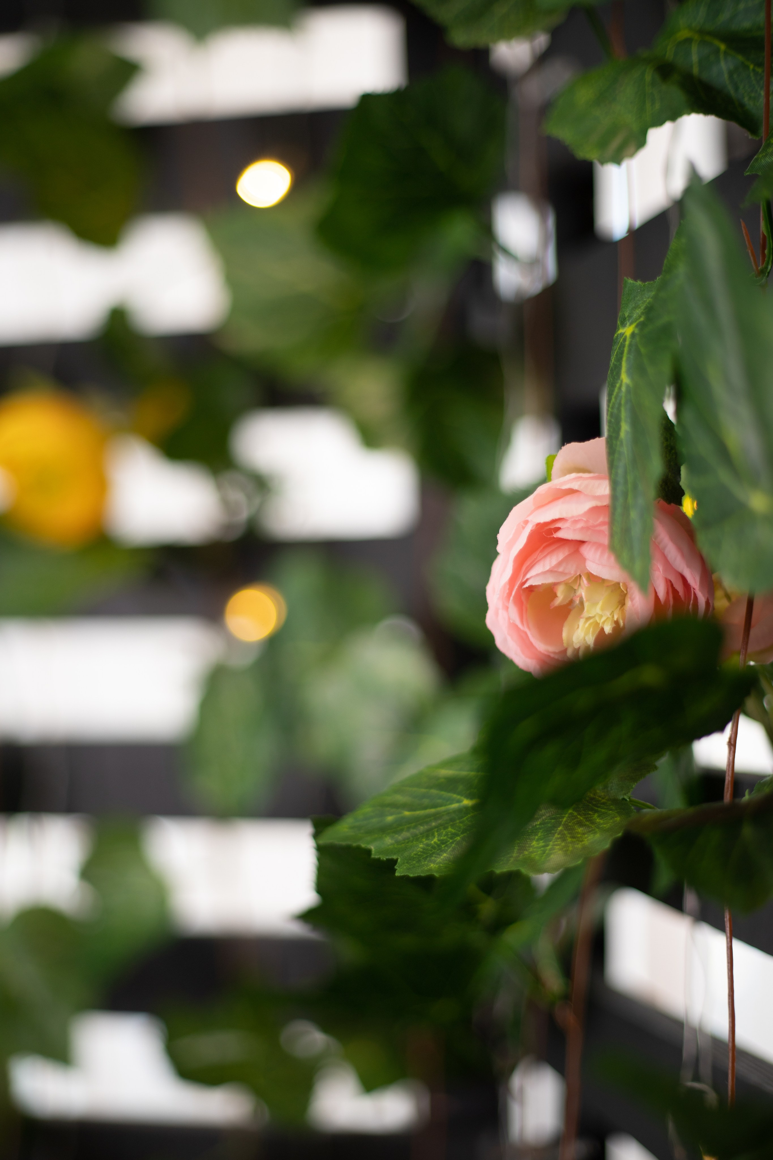 Created for hapiness. Photographer Inna Kalmykova