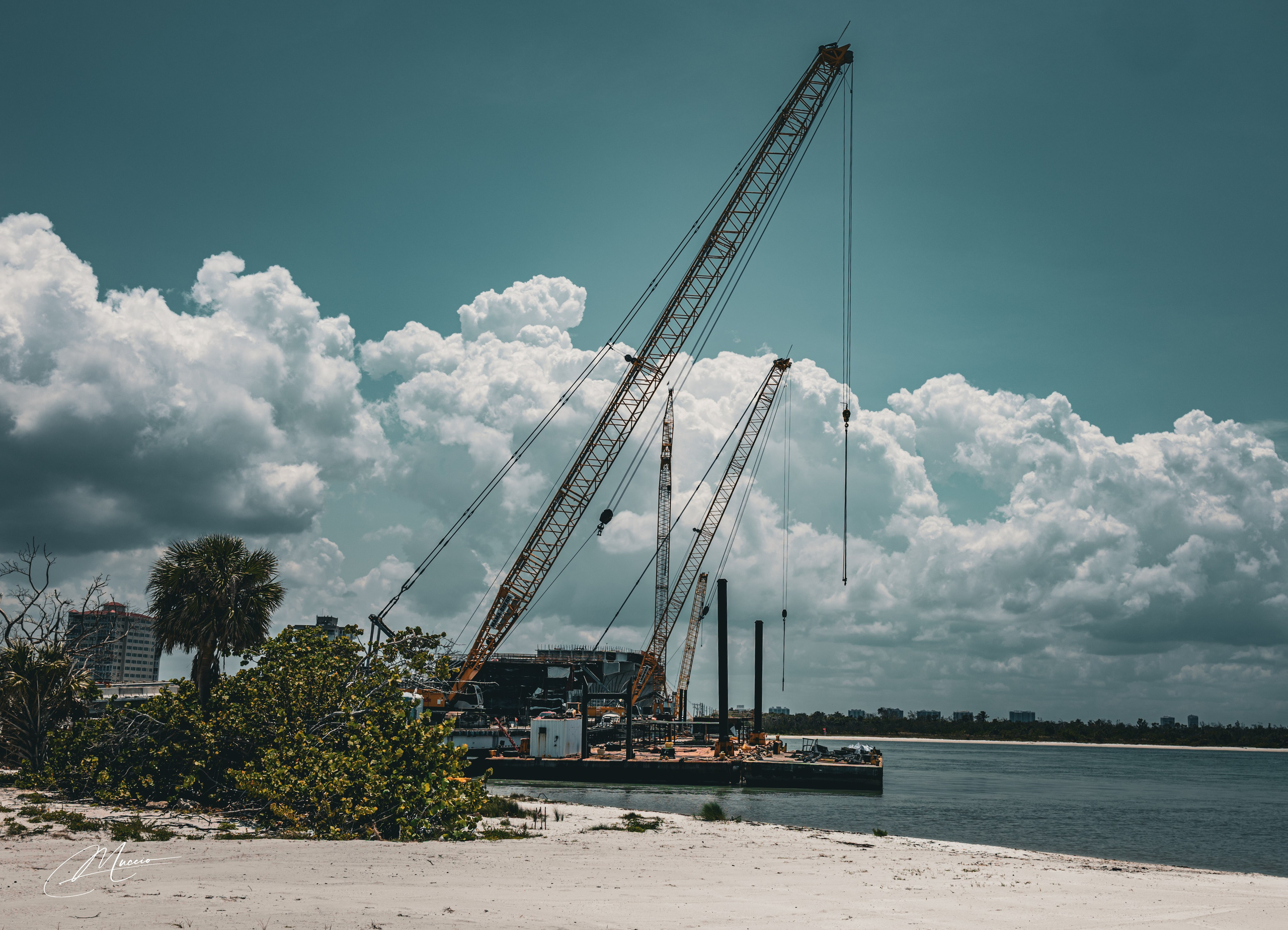 Florida Man — Fort Myers Walkabout. Out and About 239