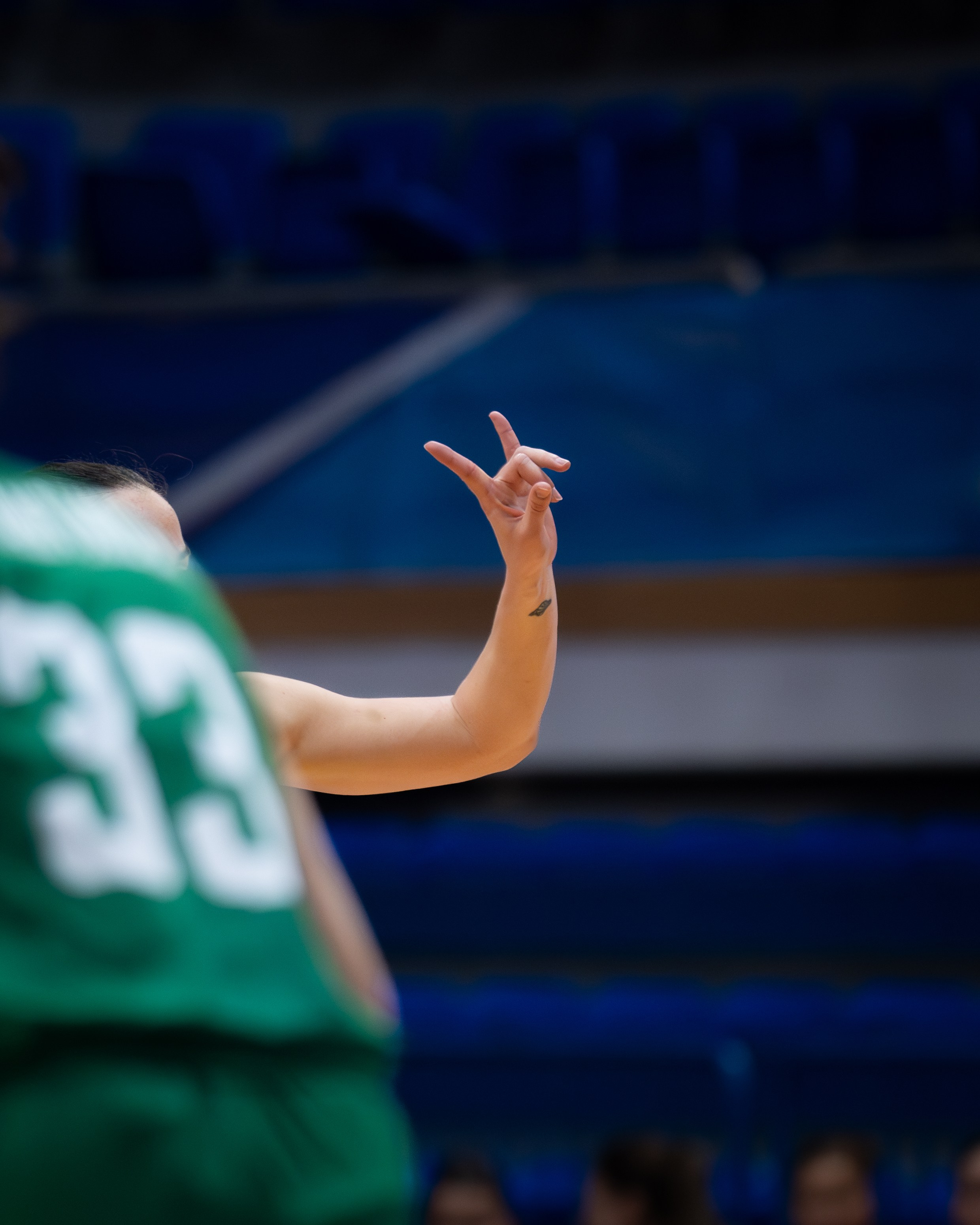 EuroBasket 2027 qualification Montenegro vs Bulgaria. Sports photography