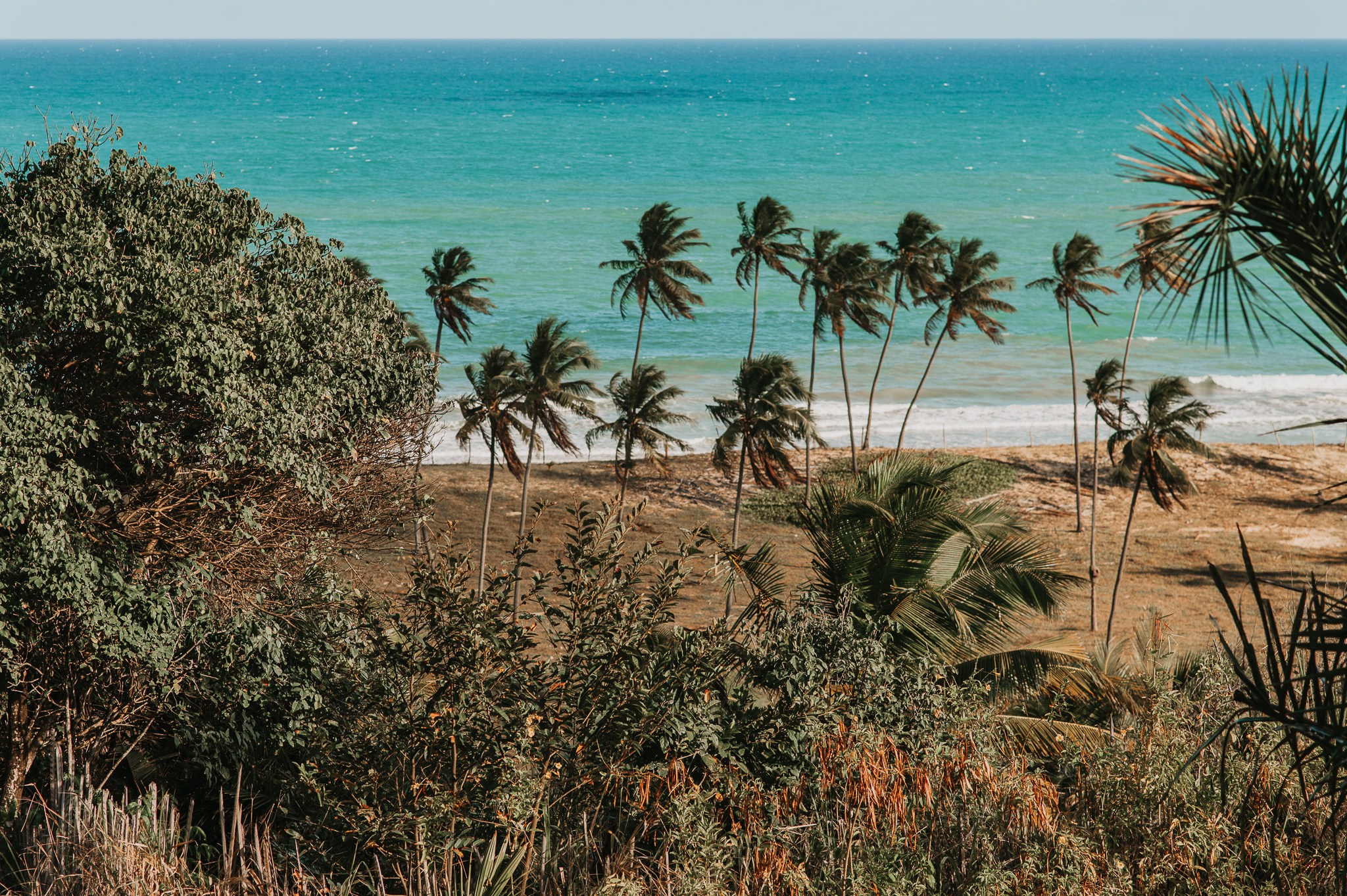 Leticia e Roberto. Fotografo de ensaios e casamentos