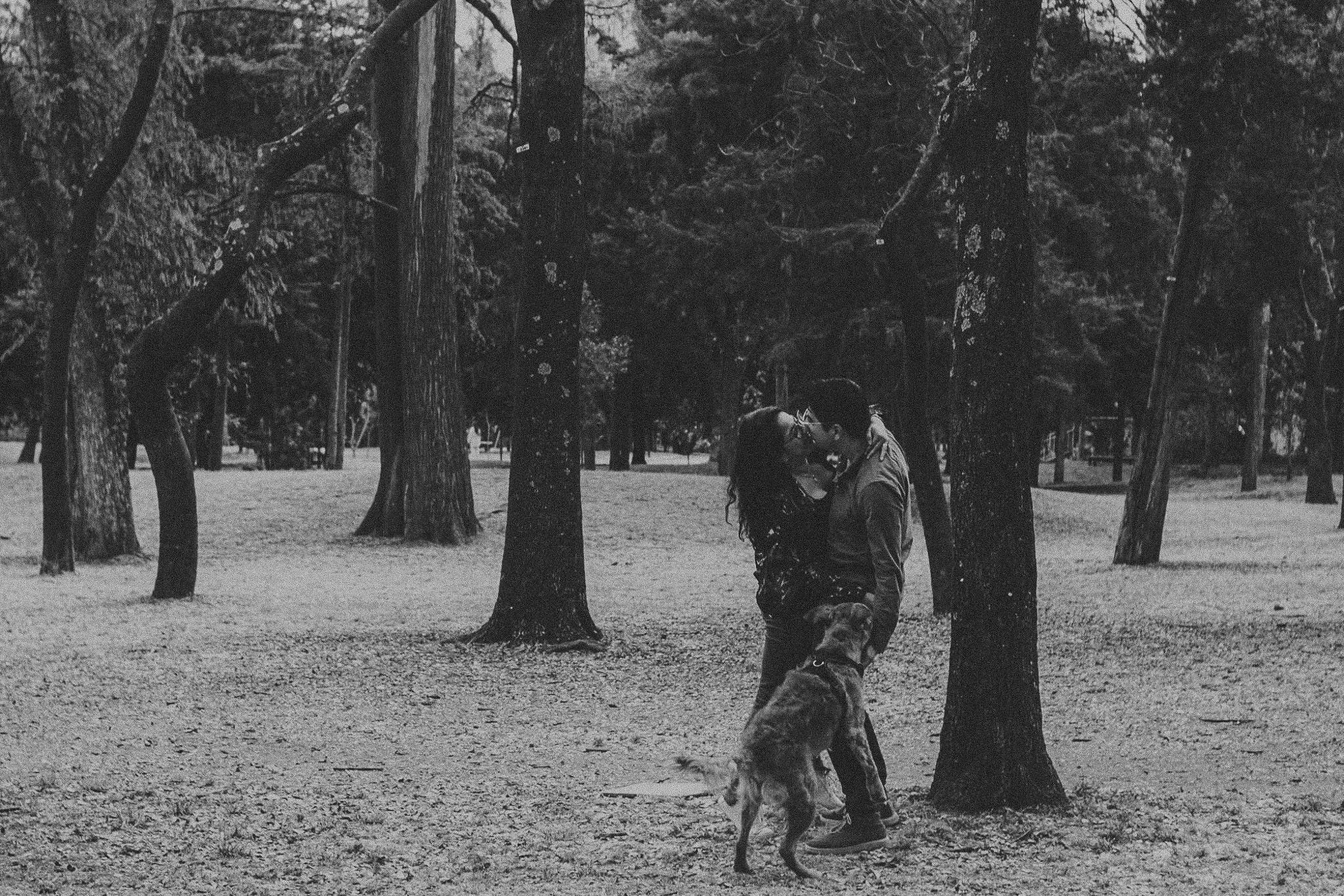 Gin & Cesar. Wedding and family photographer in Mexico City