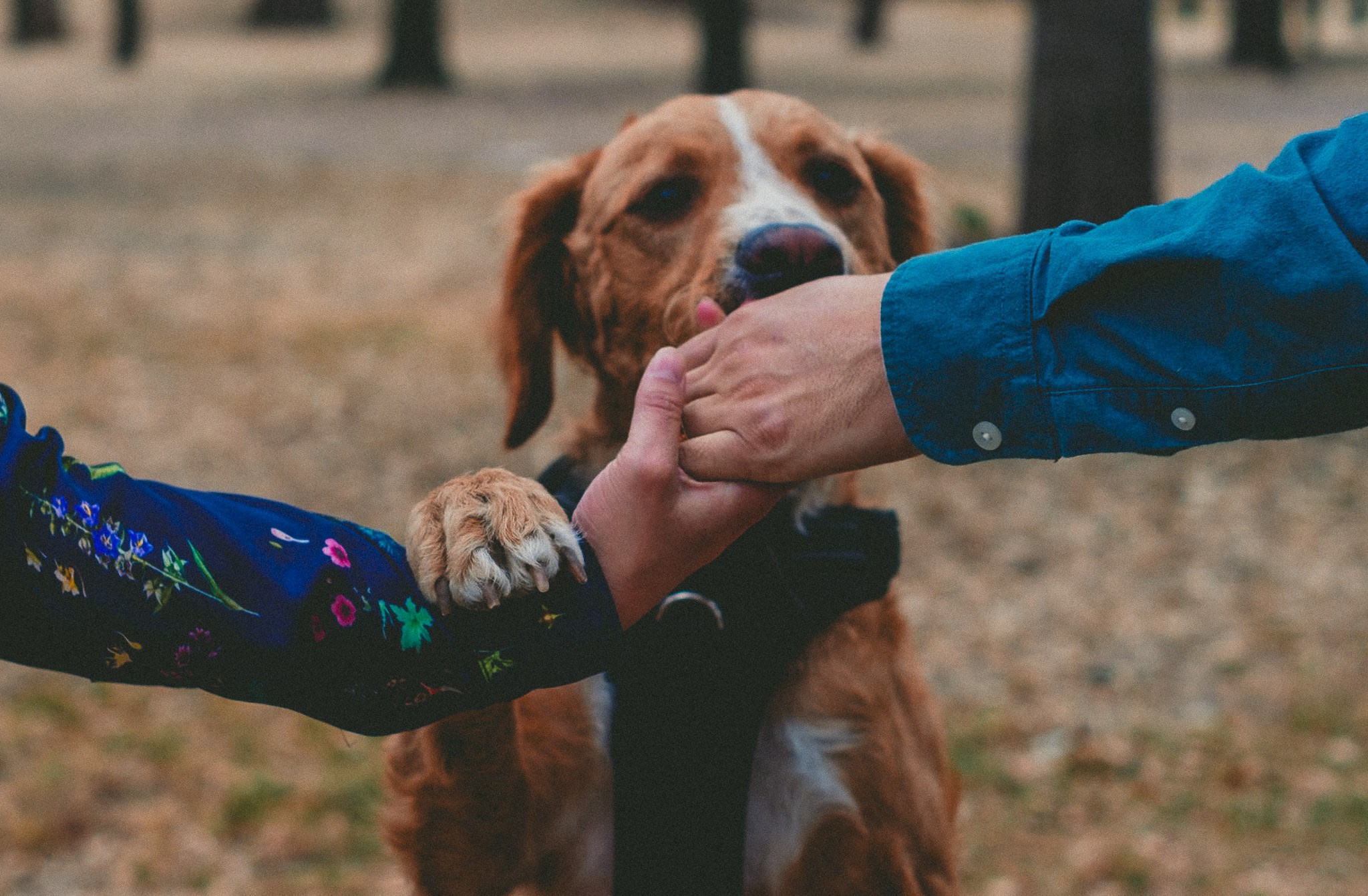 Gin & Cesar. Wedding and family photographer in Mexico City