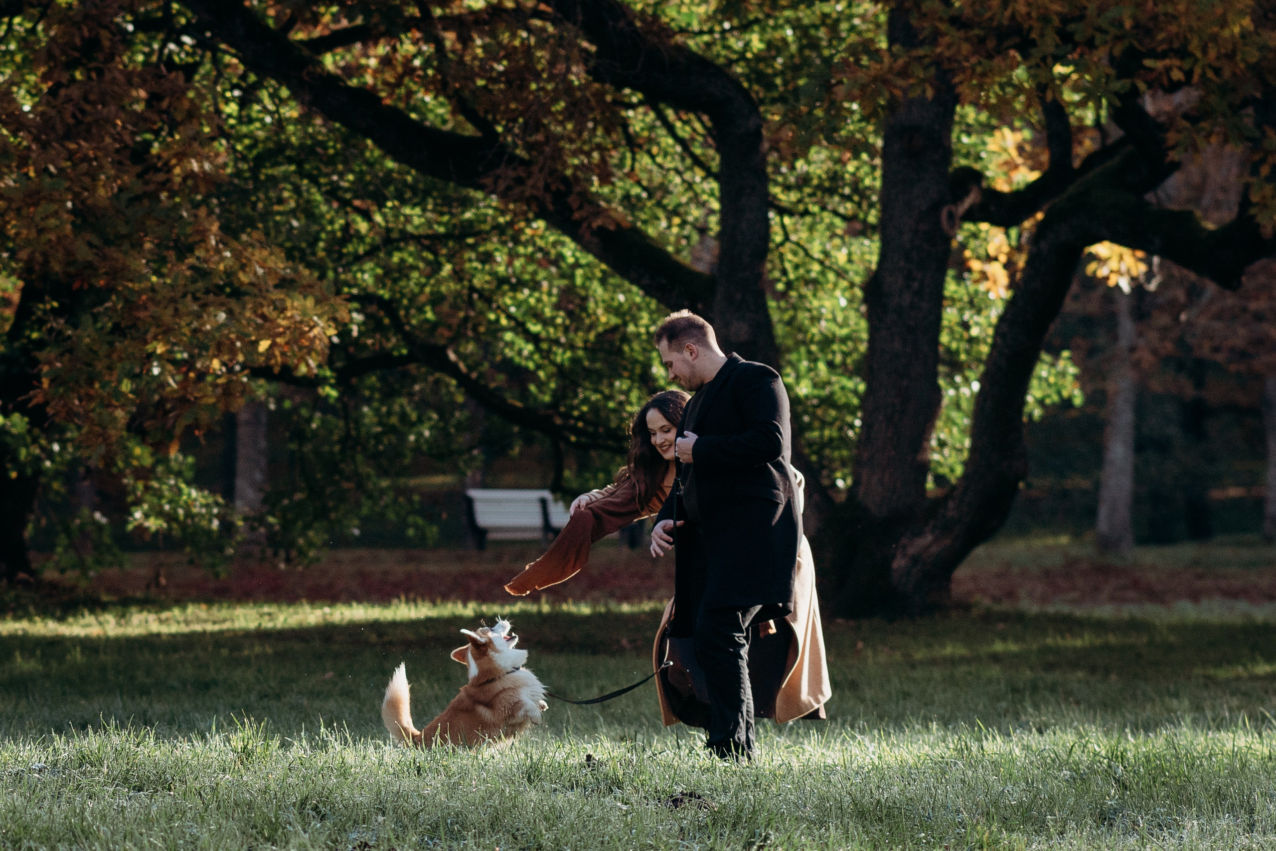 Liisa, Alexander & Marsel. Фотограф-анималист в Таллинне, Катя Лайсаар